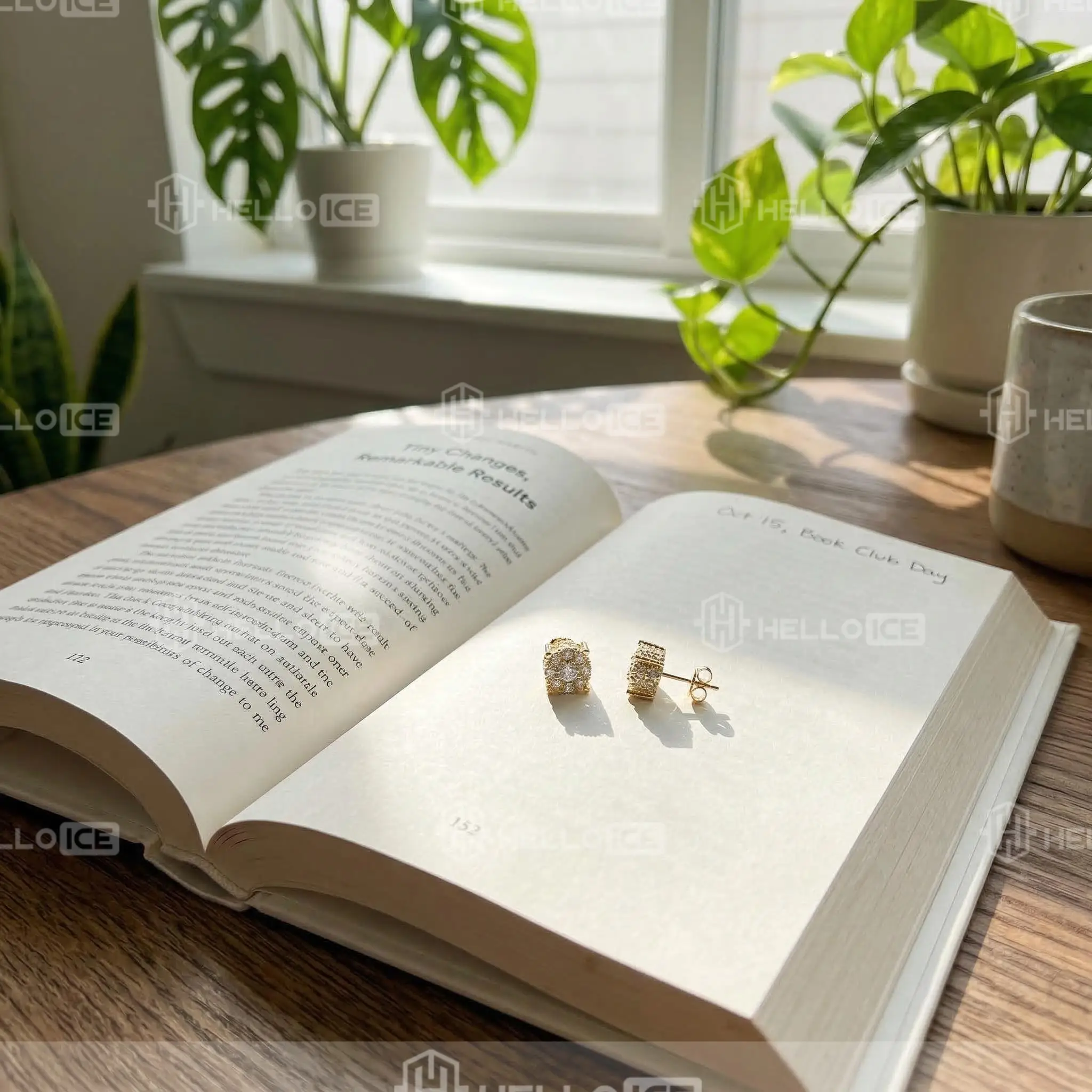 Helloice Review Image