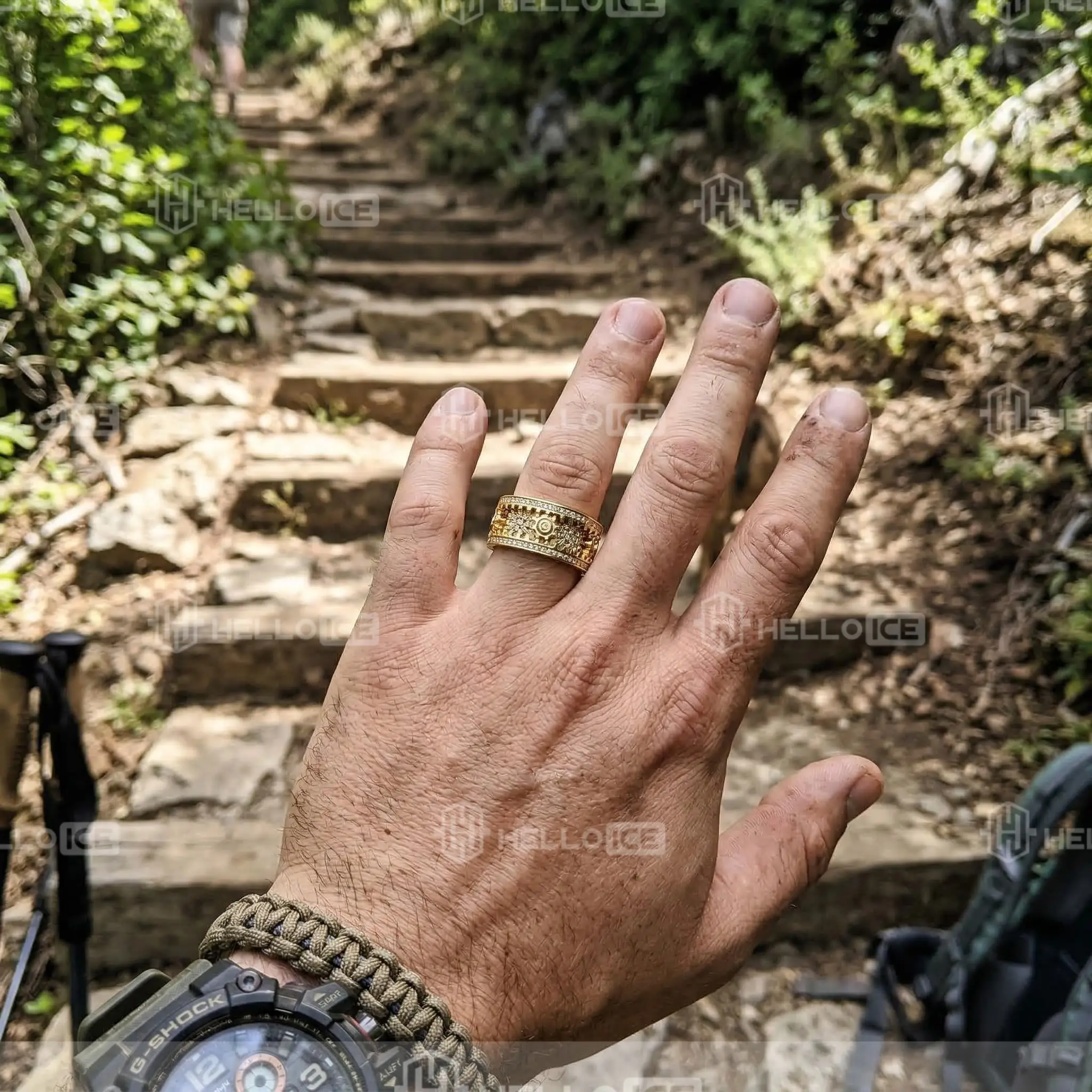 Helloice Review Image