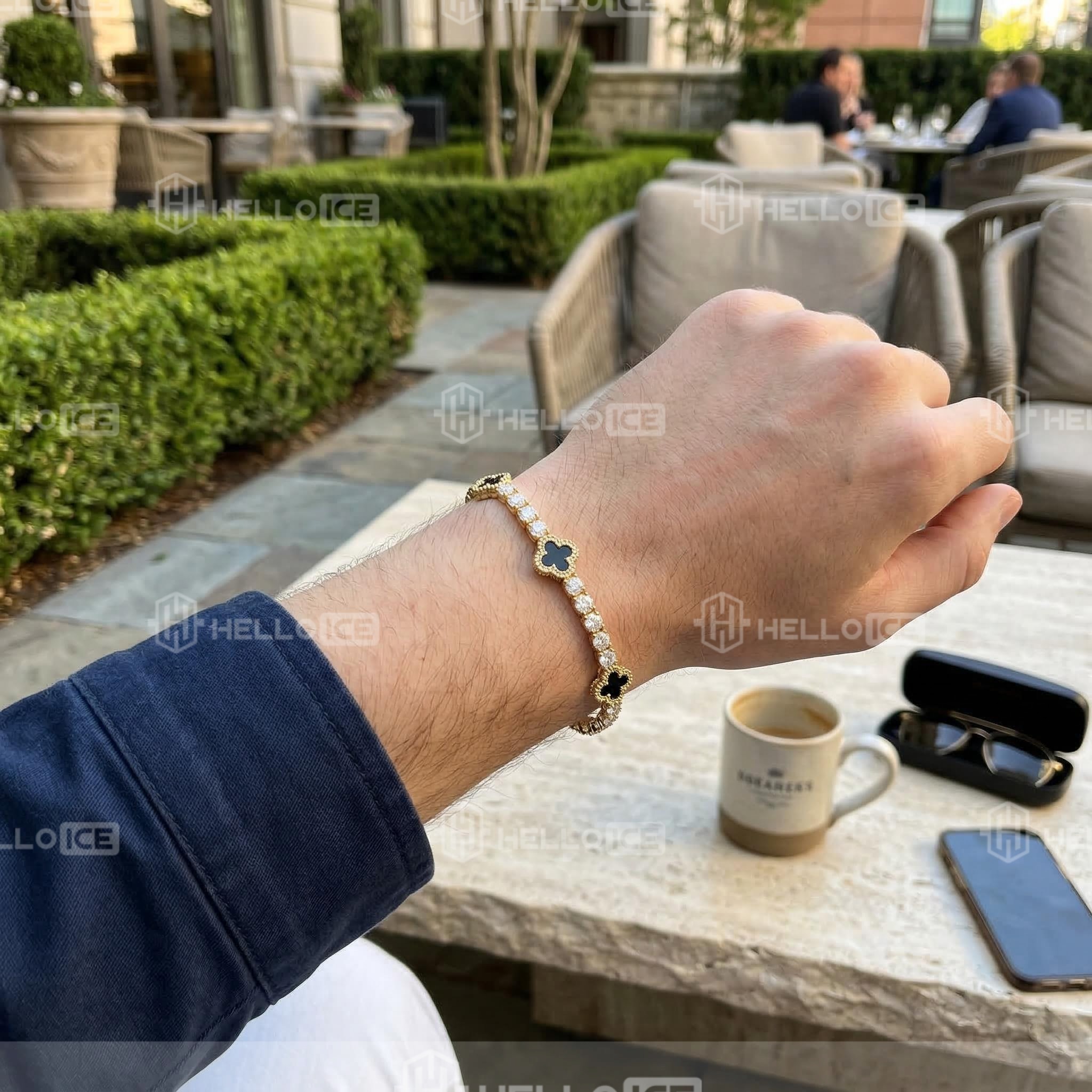 Helloice Review Image