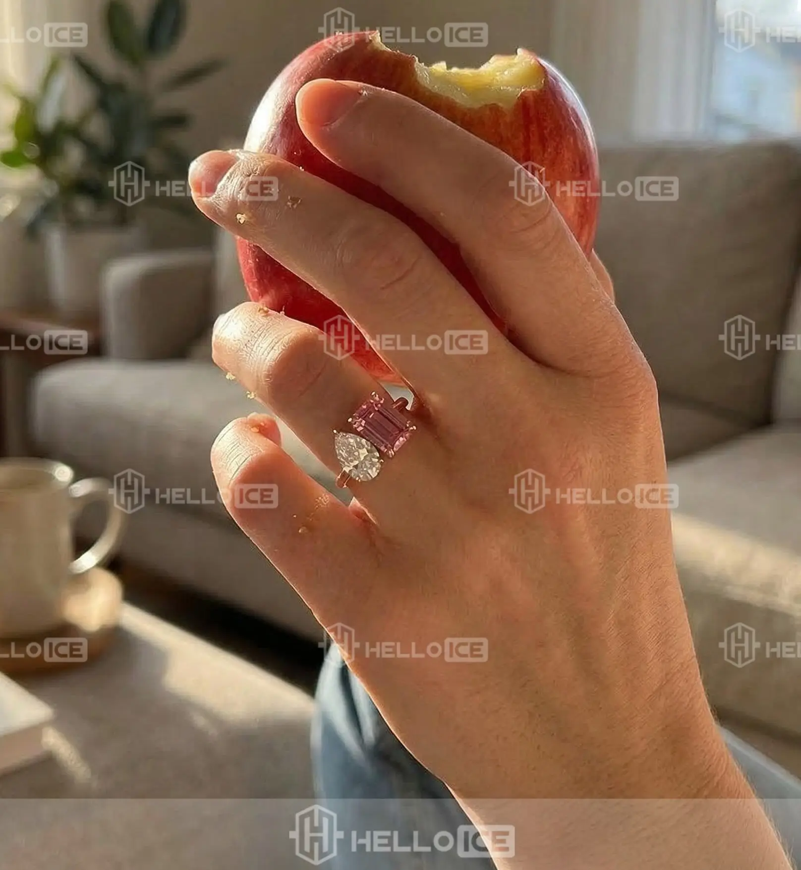 Helloice Review Image