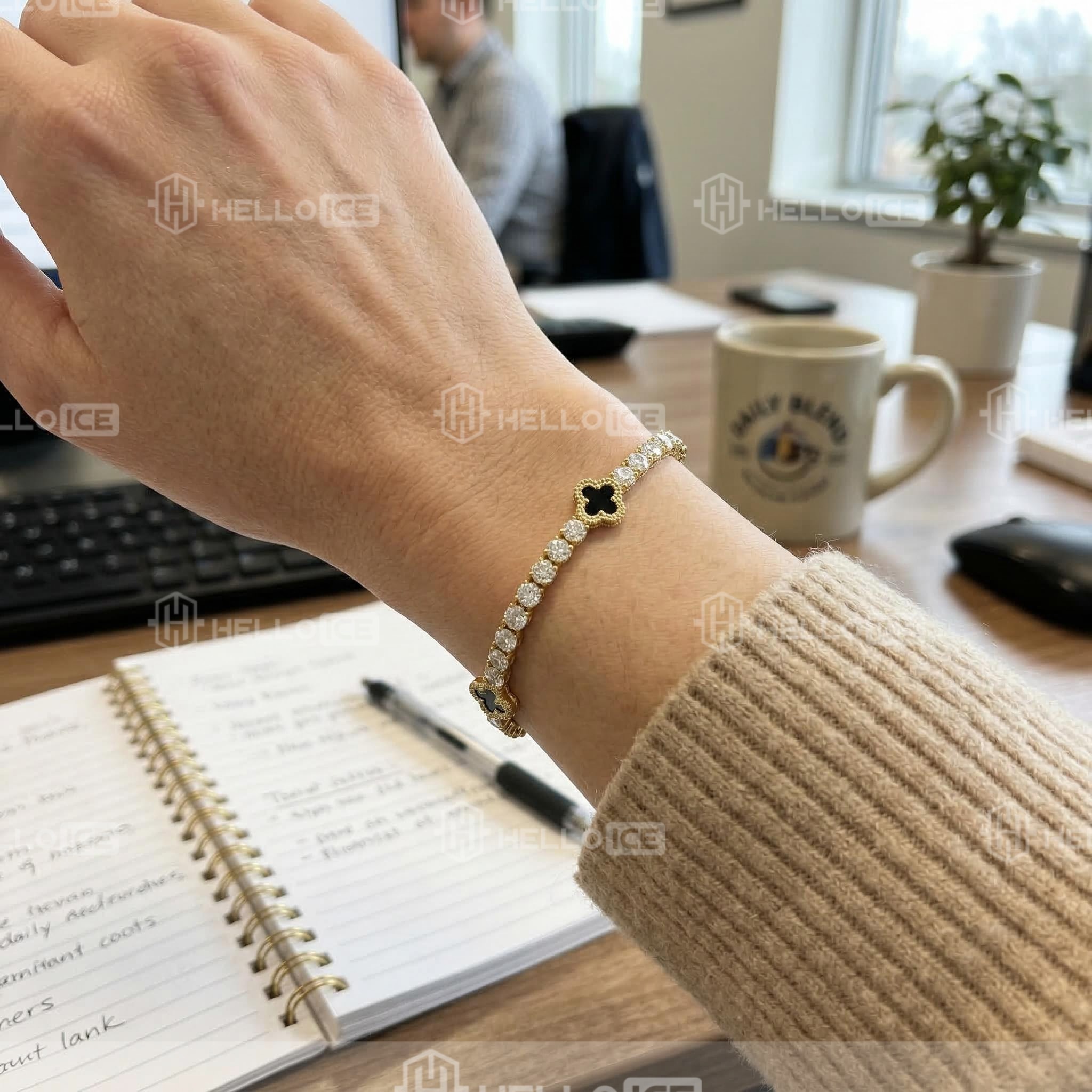 Helloice Review Image