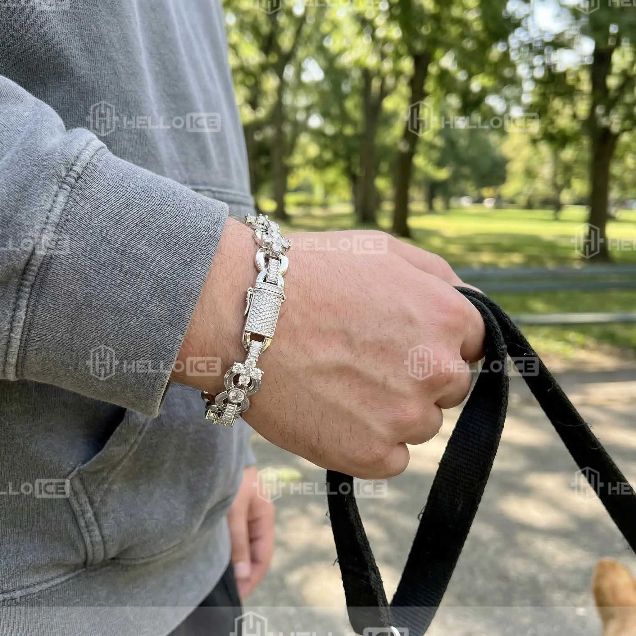 Helloice Review Image