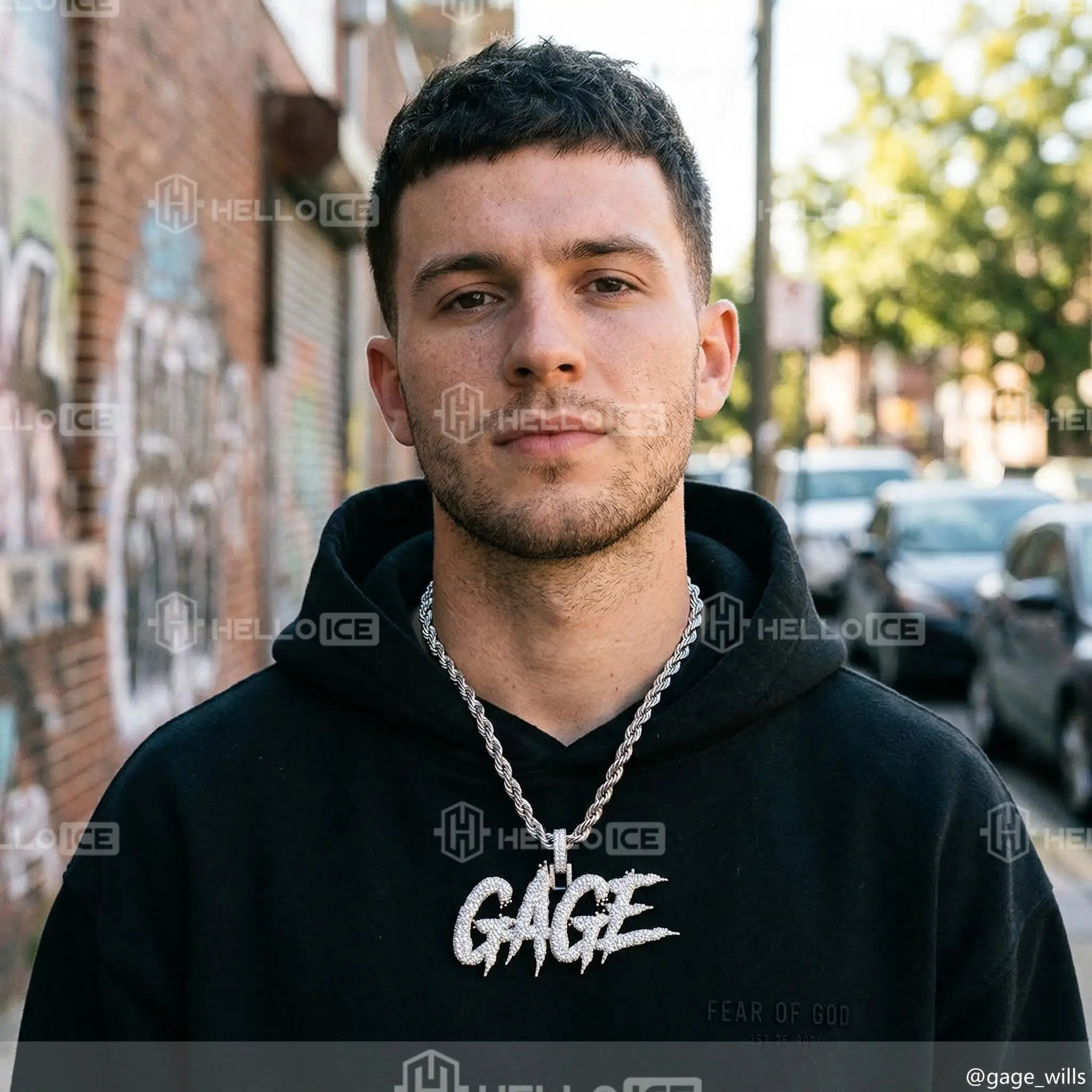 Helloice Review Image