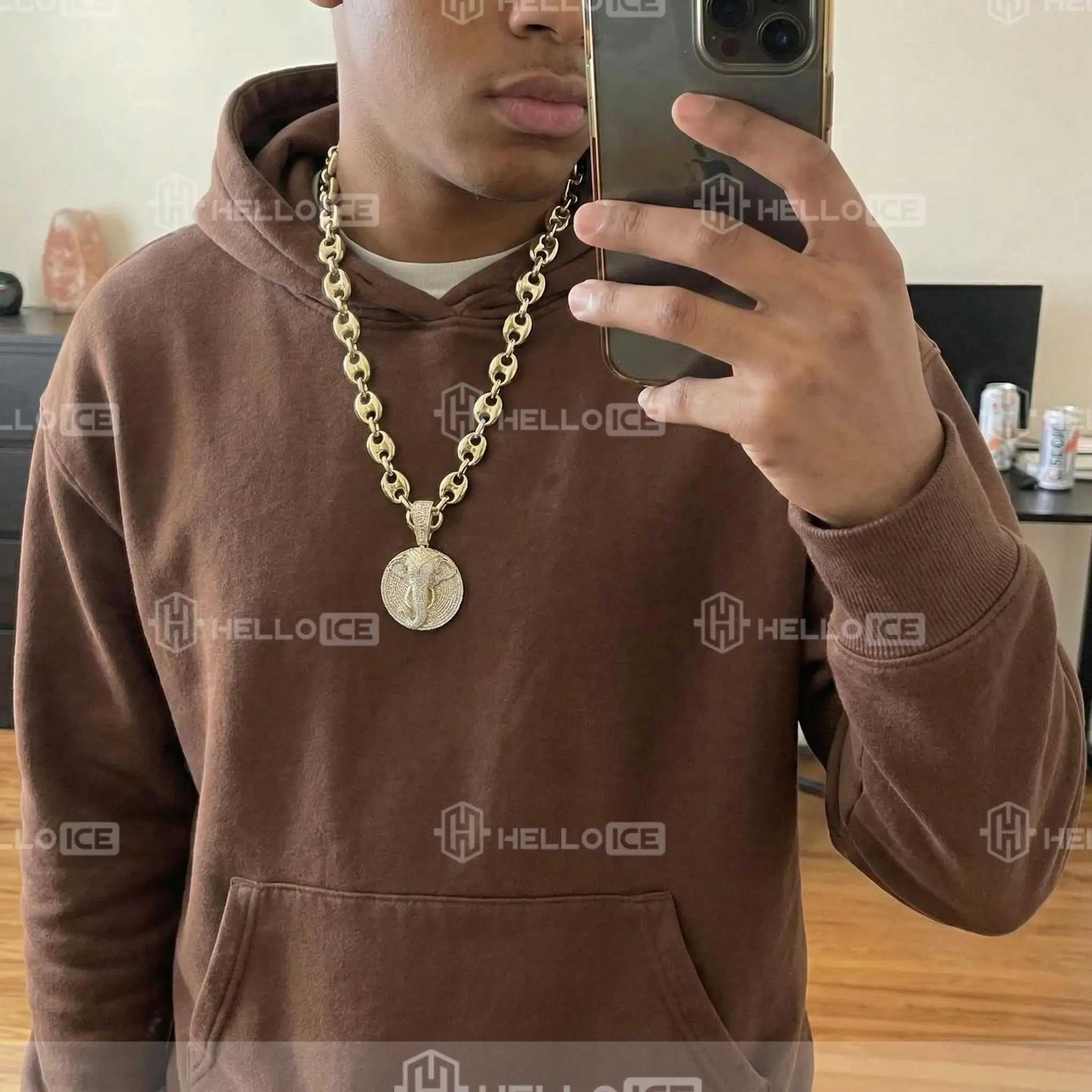 Helloice Review Image