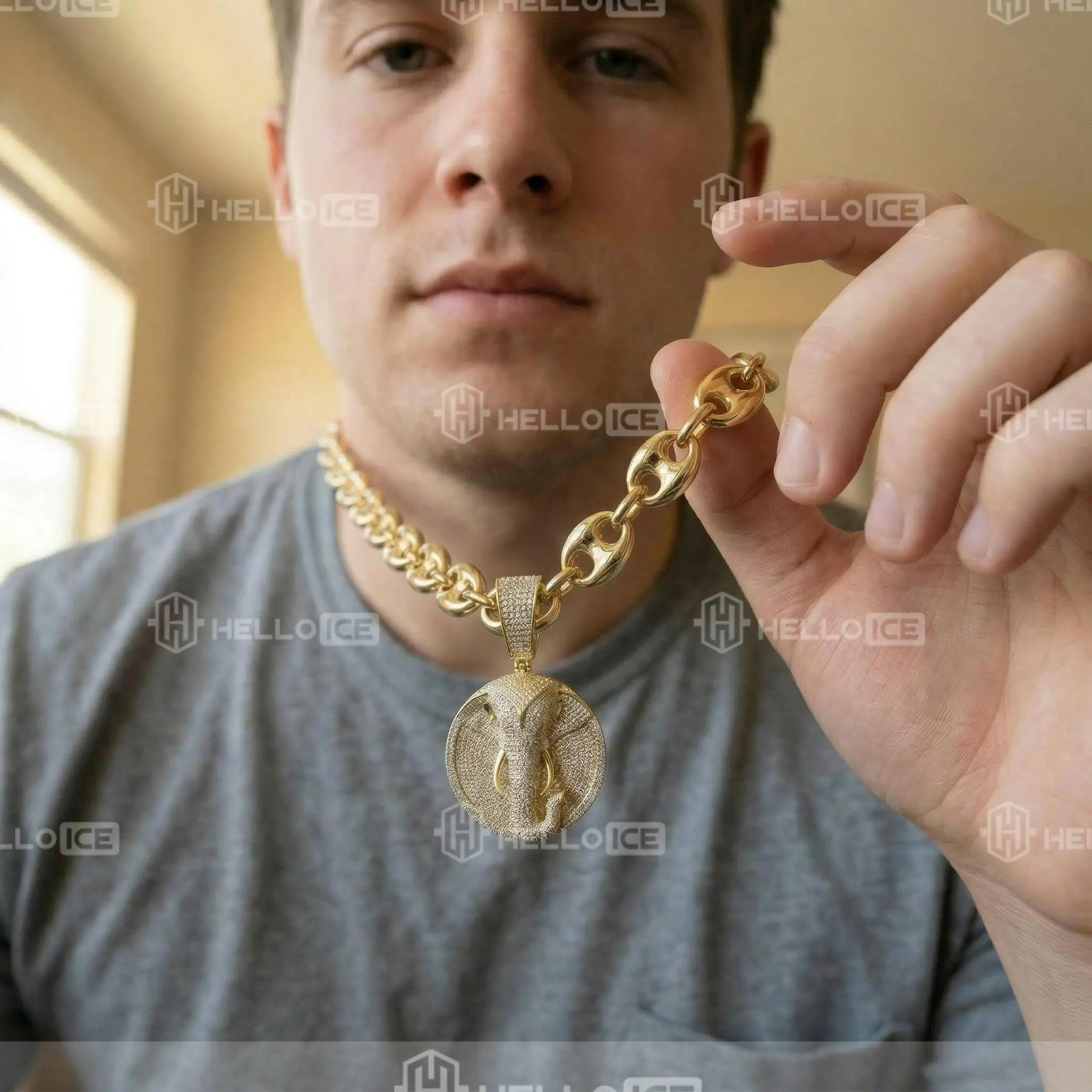 Helloice Review Image