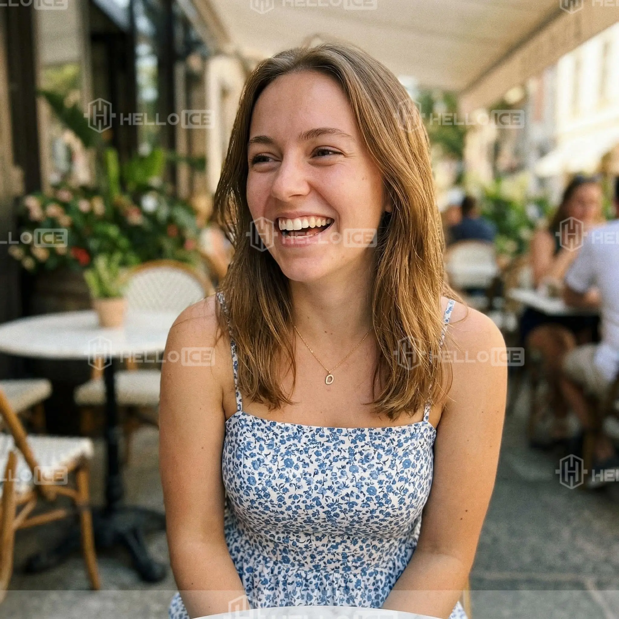 Helloice Review Image