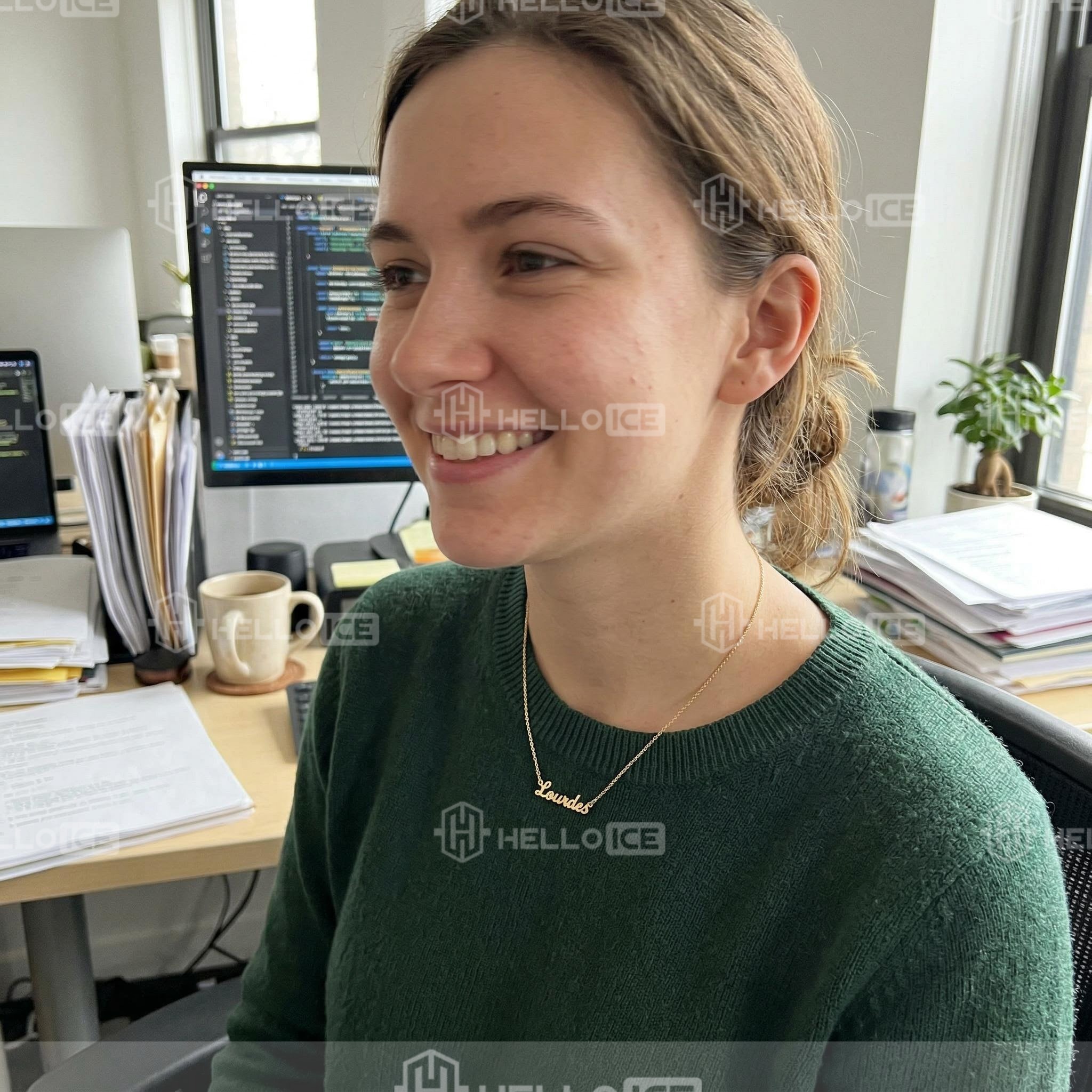 Helloice Review Image