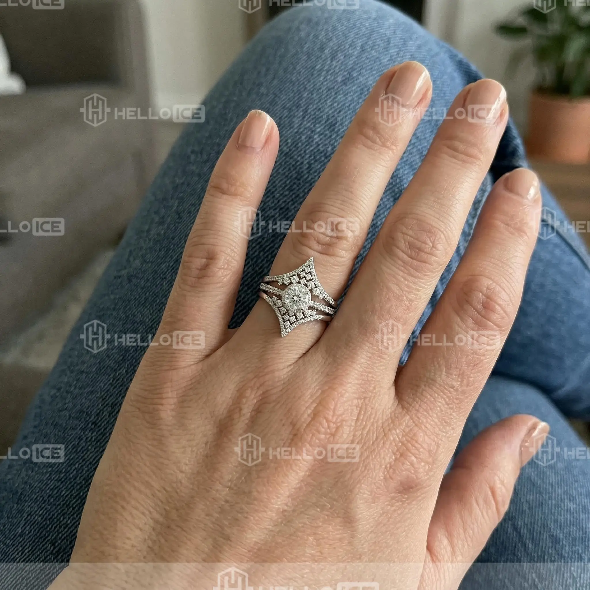 Helloice Review Image