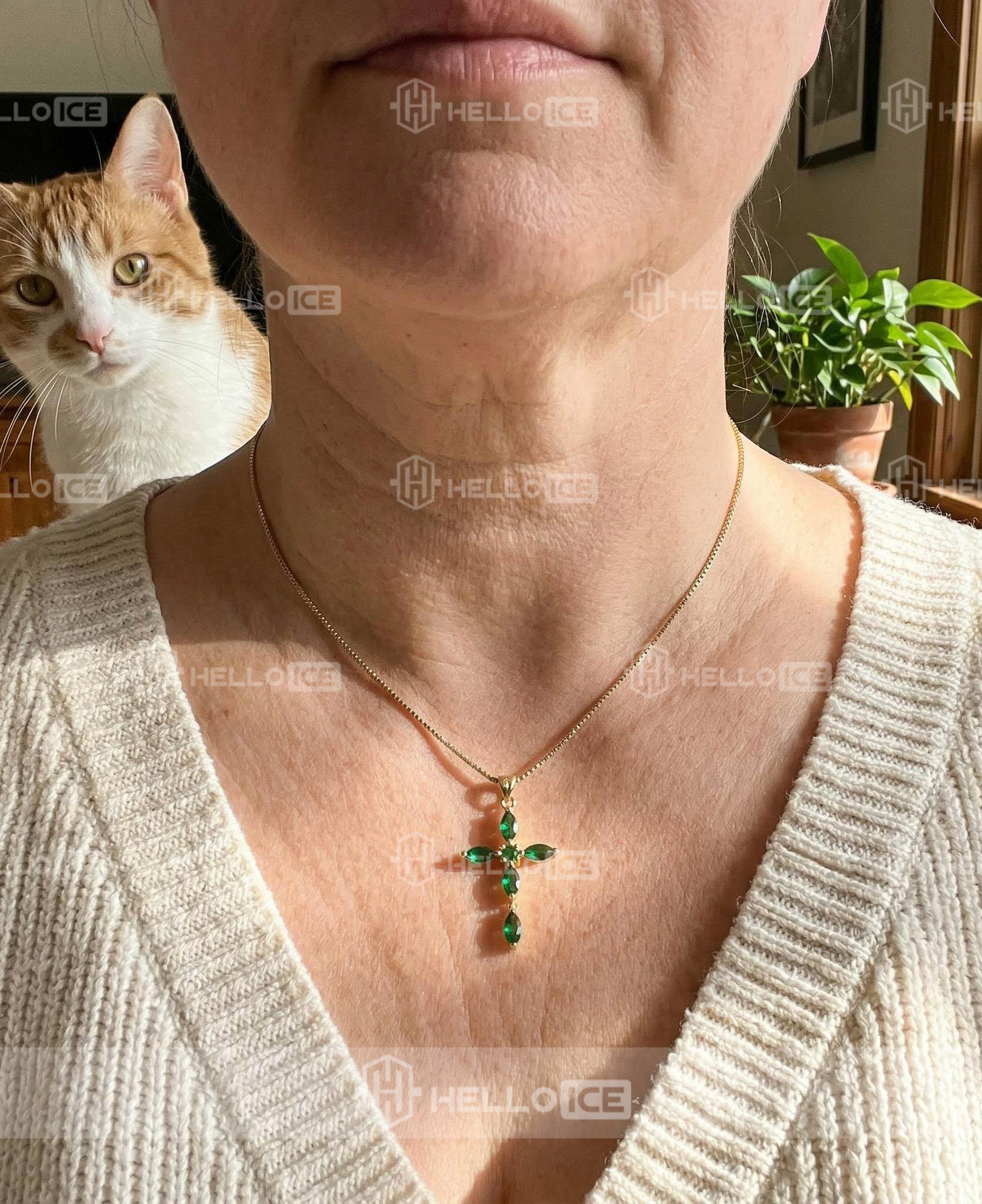 Helloice Review Image