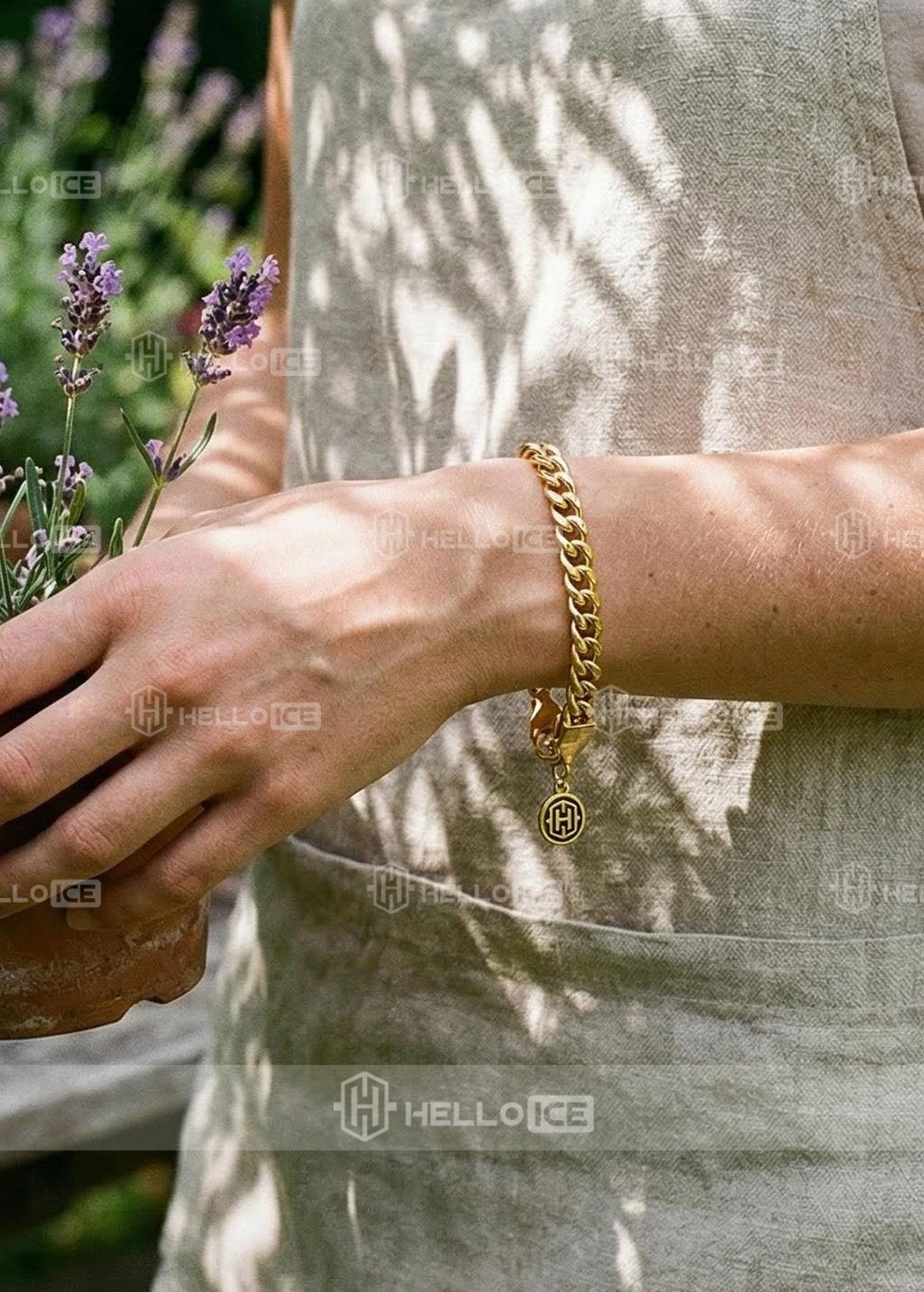 Helloice Review Image