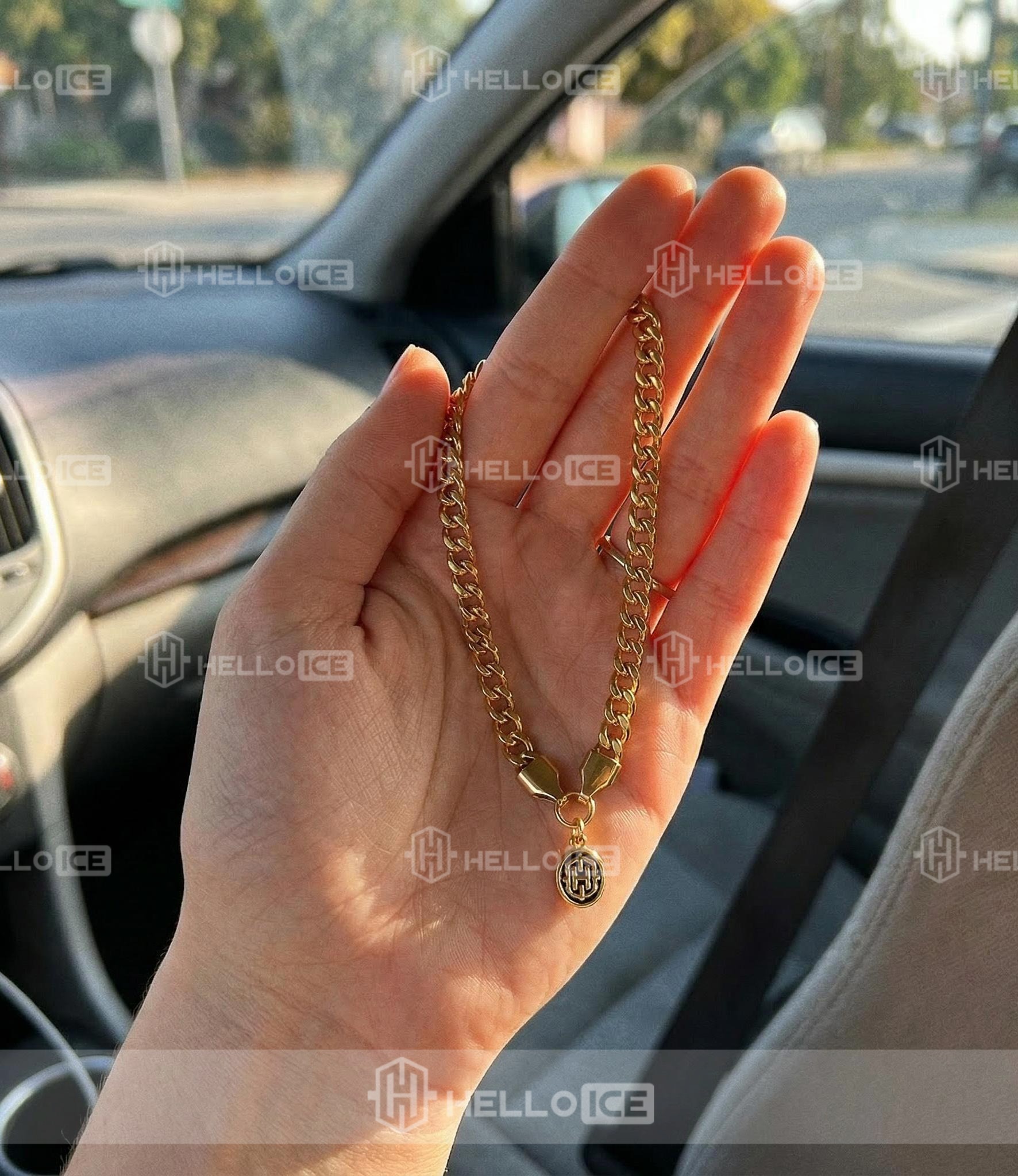 Helloice Review Image