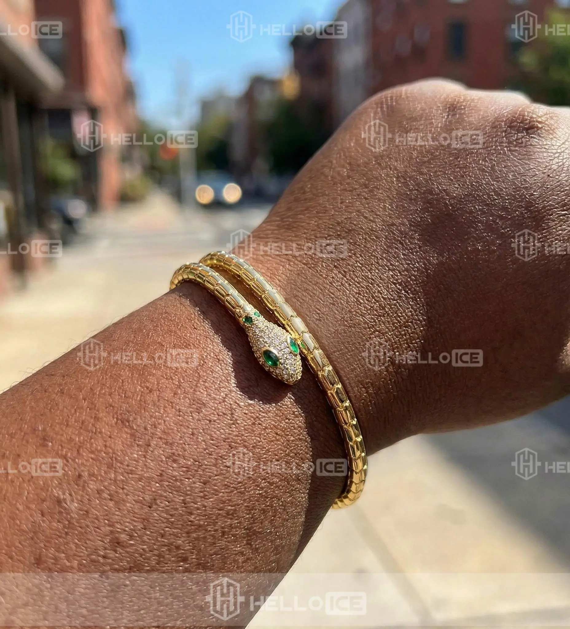 Helloice Review Image