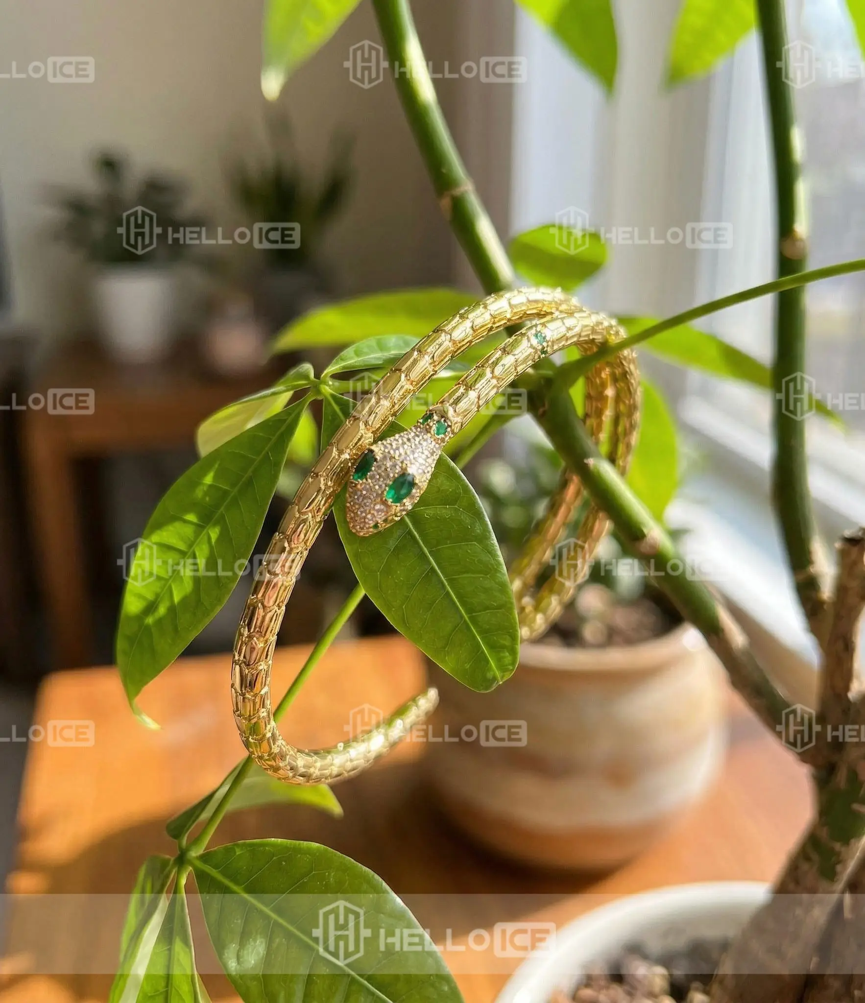 Helloice Review Image