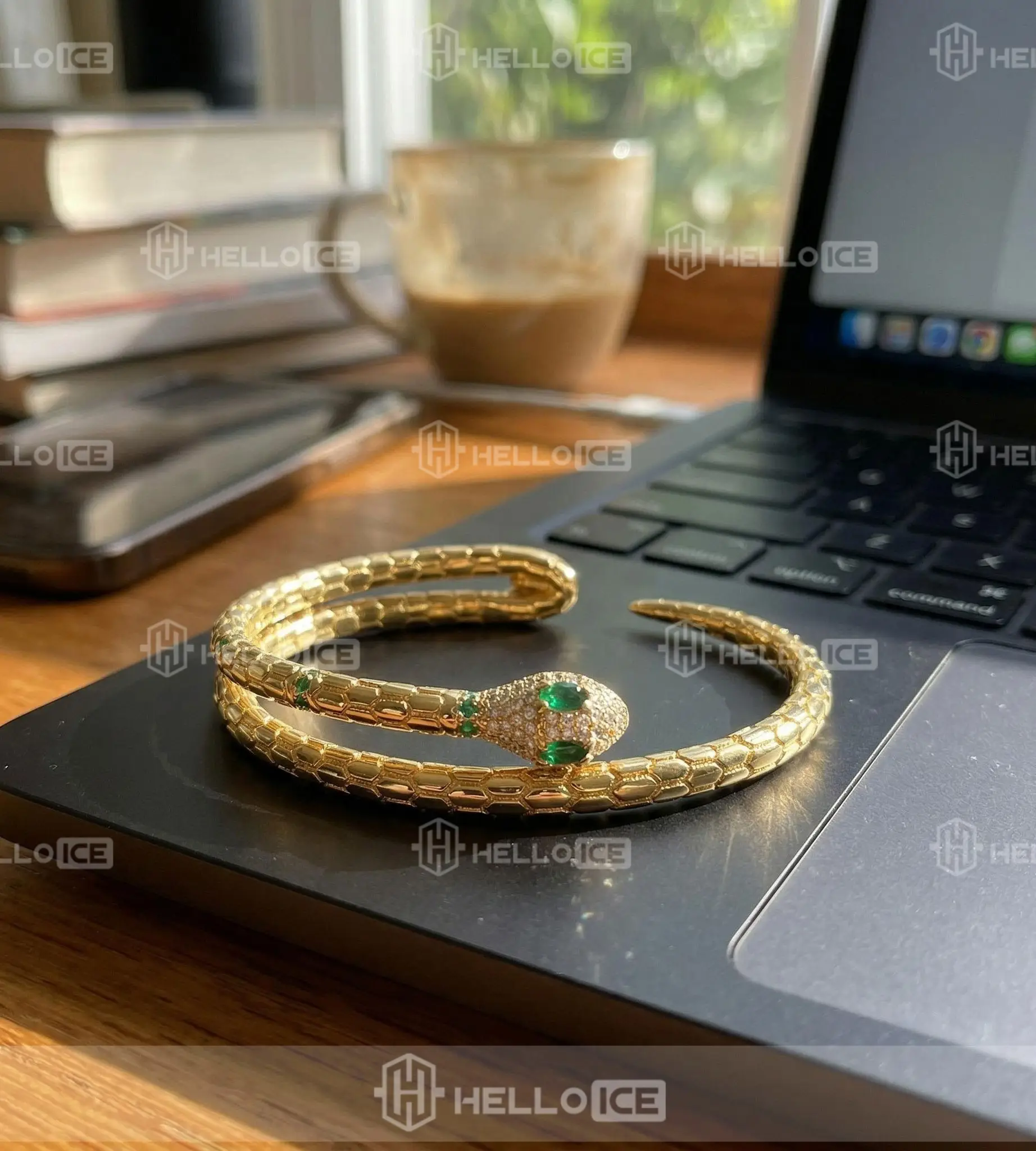 Helloice Review Image