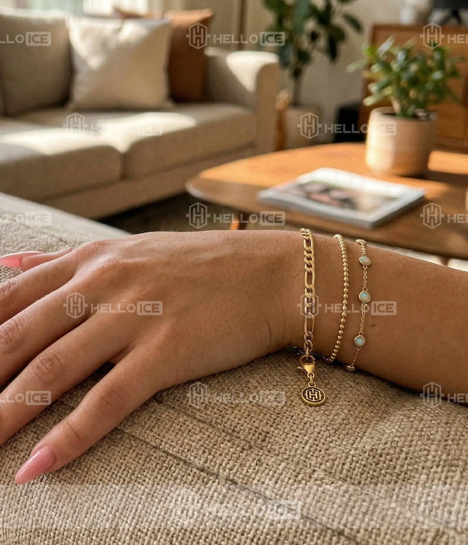 Helloice Review Image