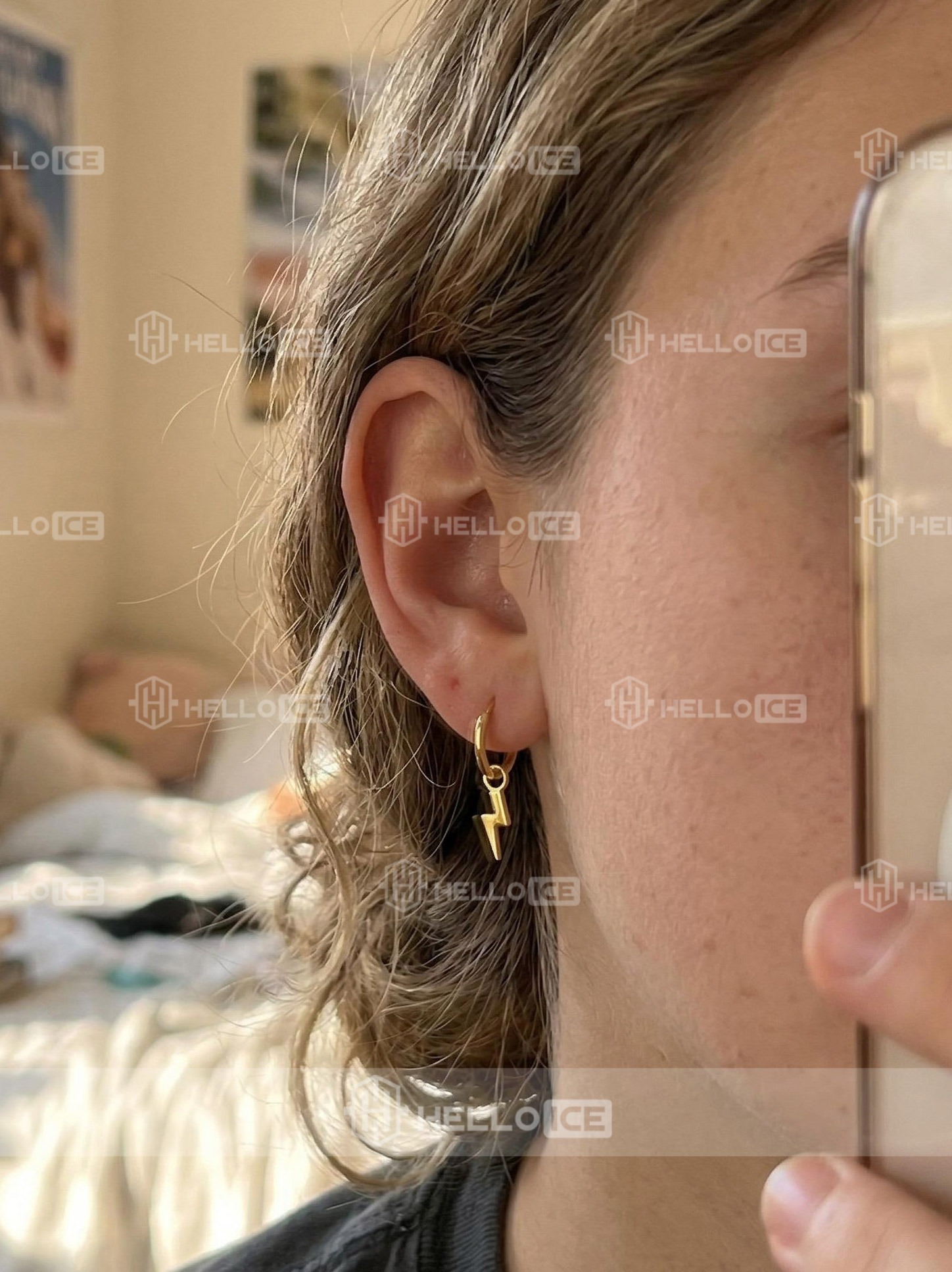 Helloice Review Image