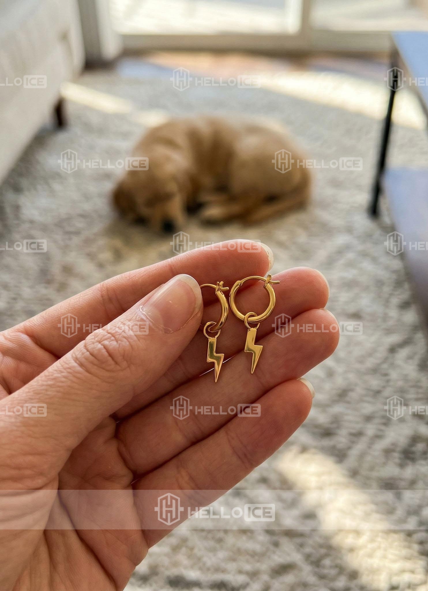 Helloice Review Image