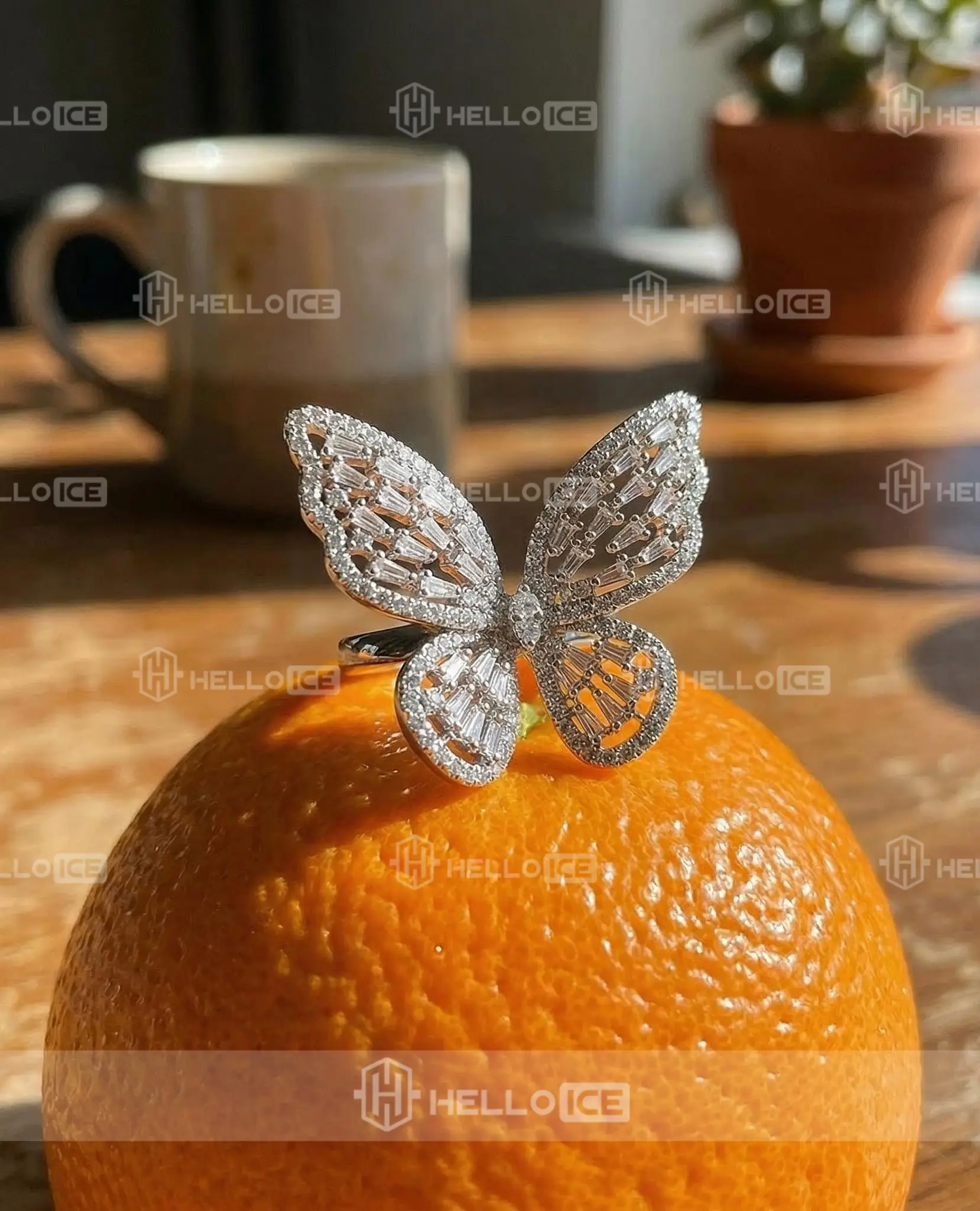 Helloice Review Image