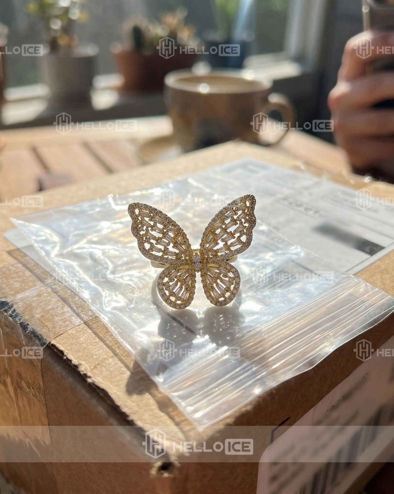 Helloice Review Image