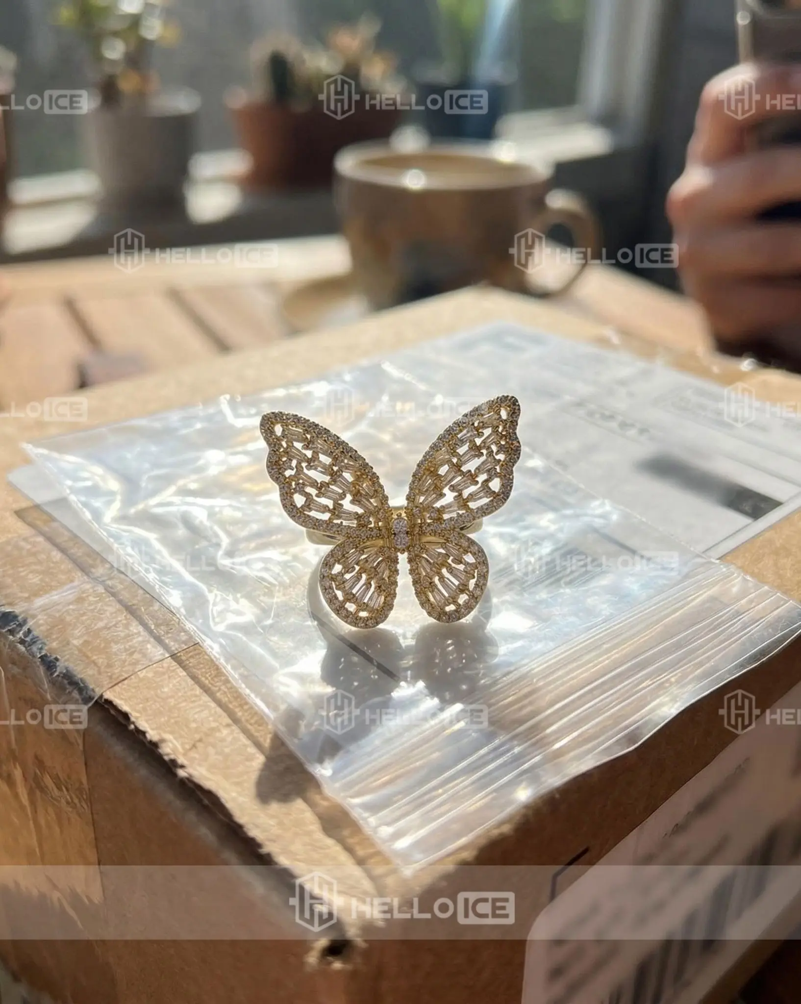 Helloice Review Image
