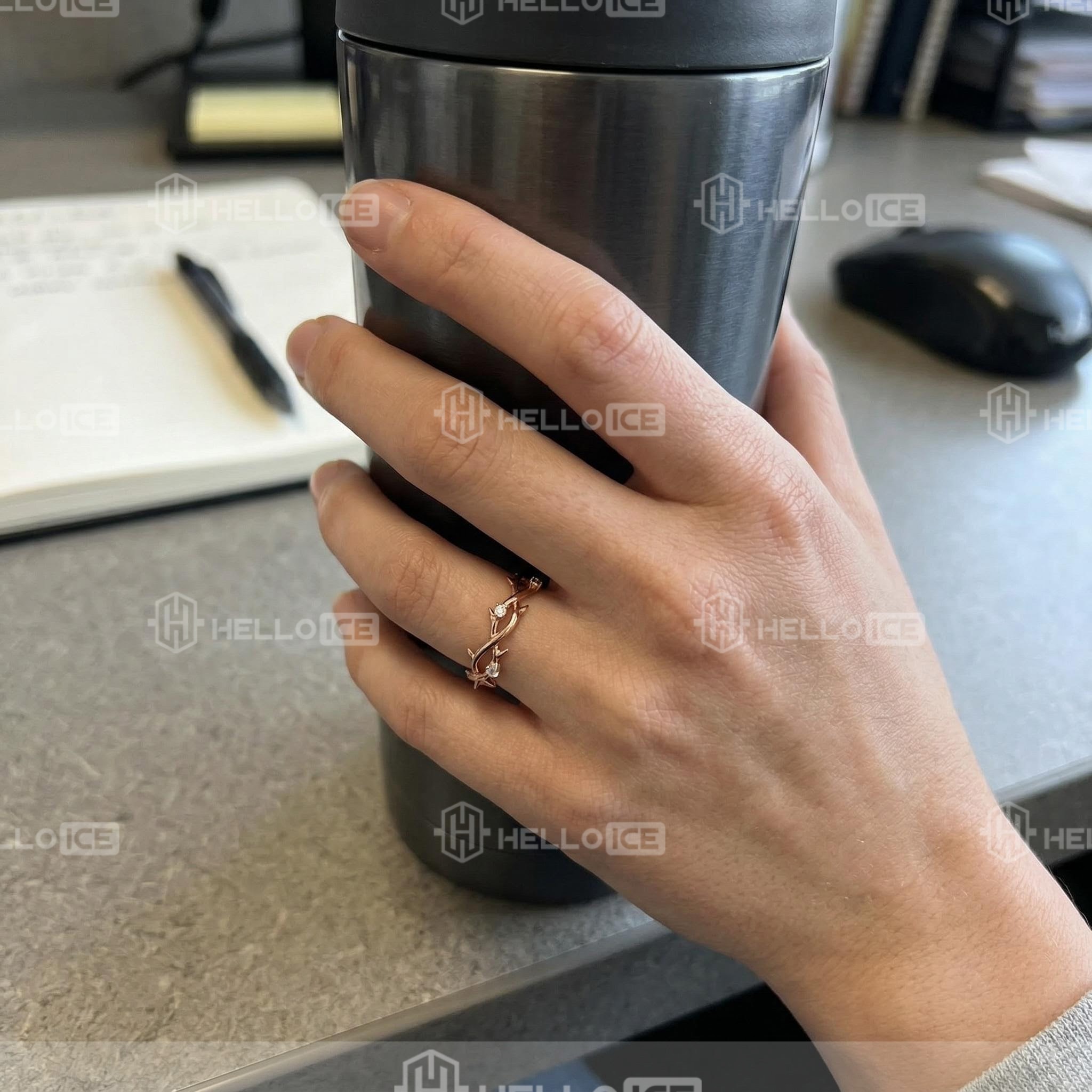 Helloice Review Image