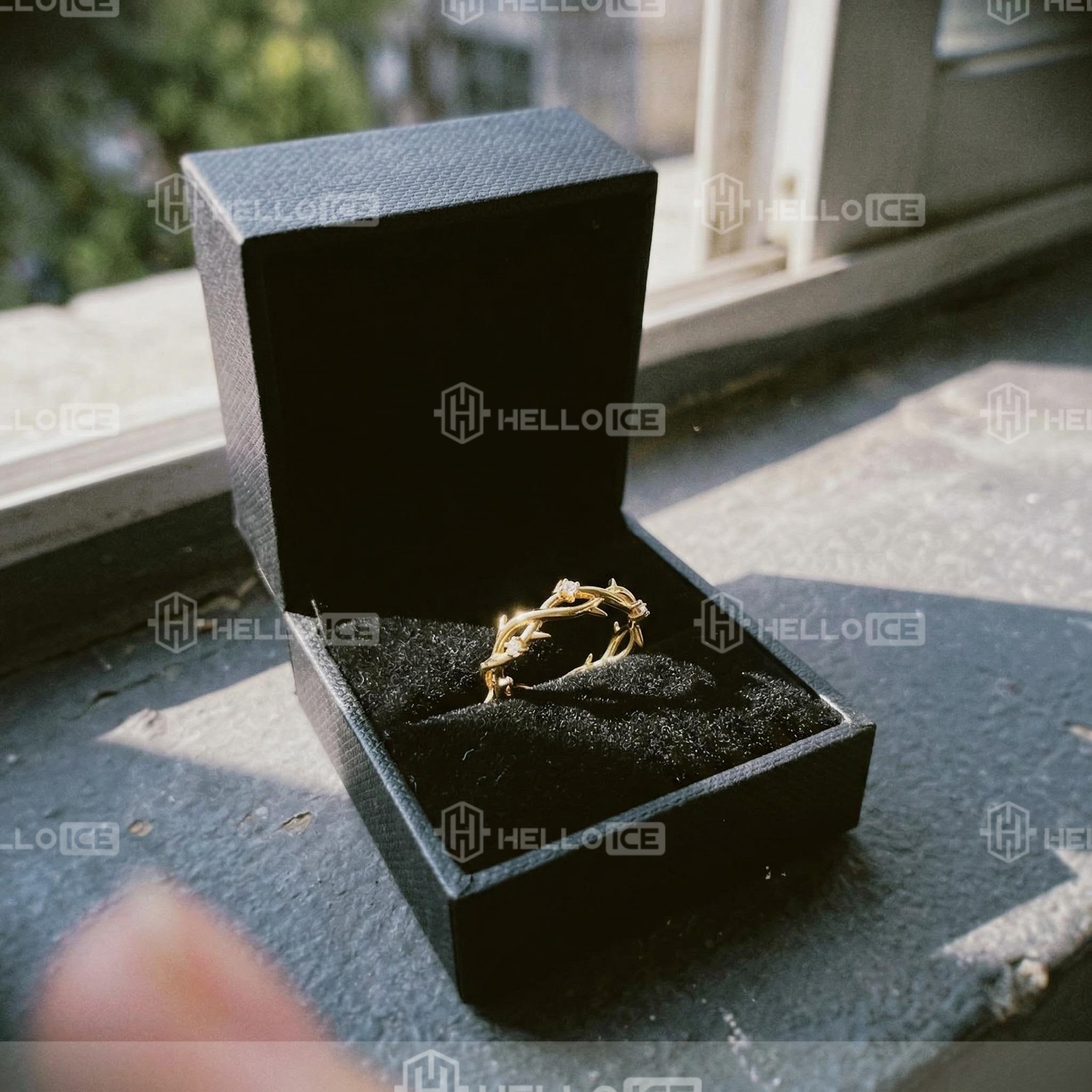 Helloice Review Image