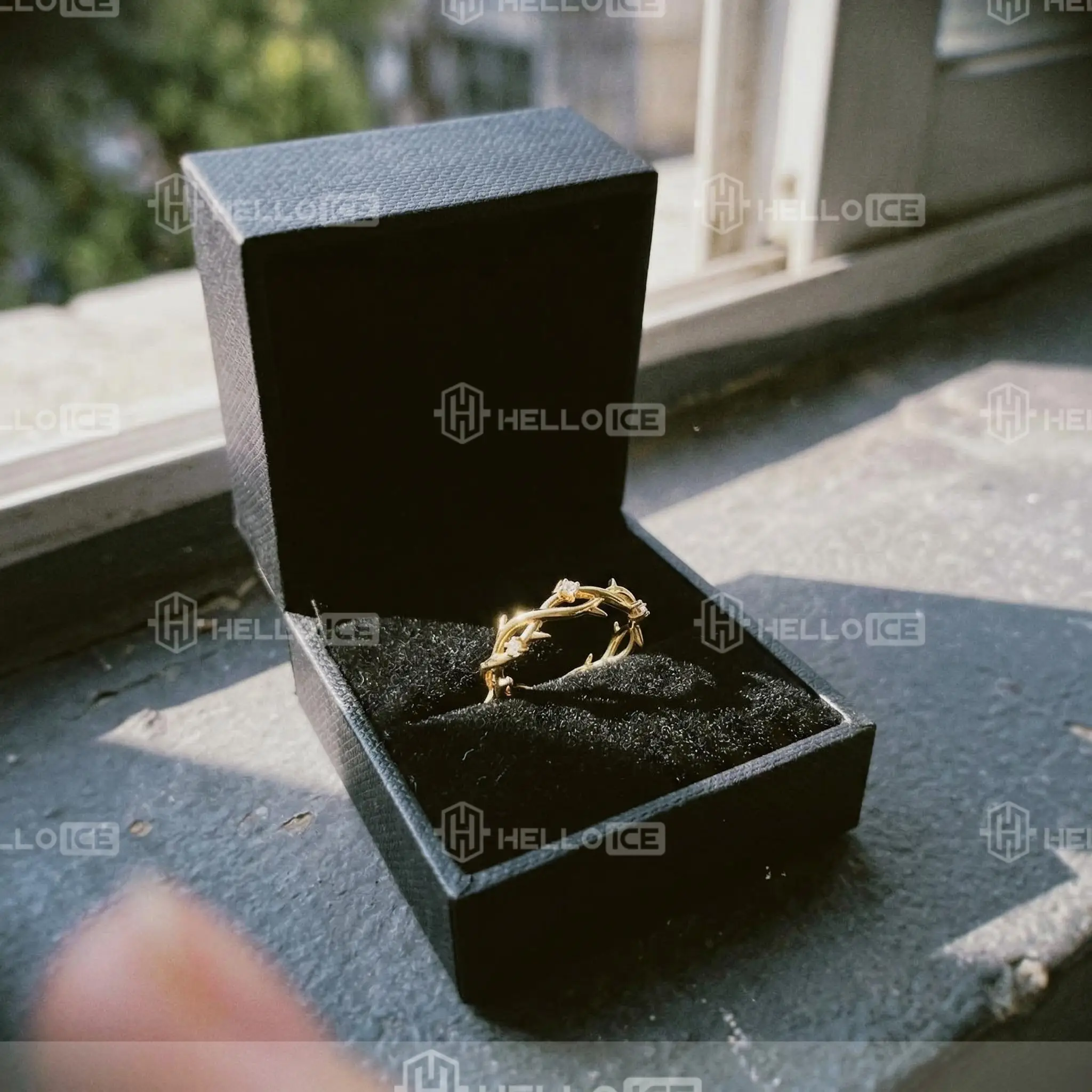Helloice Review Image