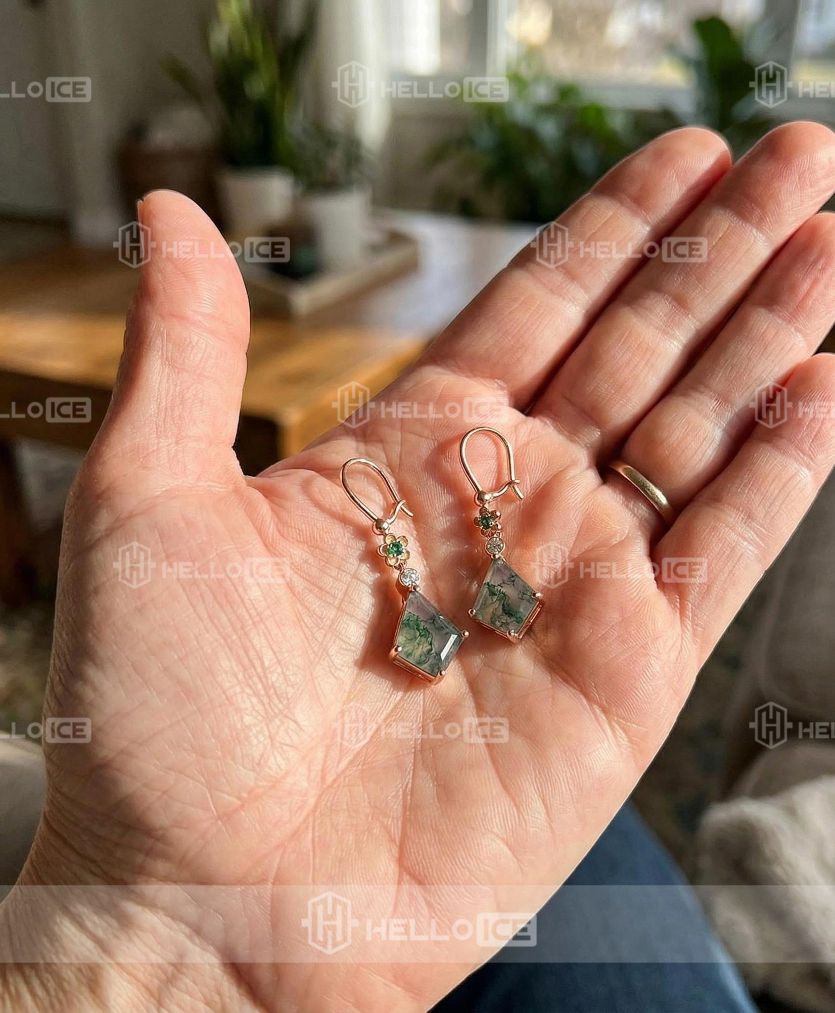 Helloice Review Image