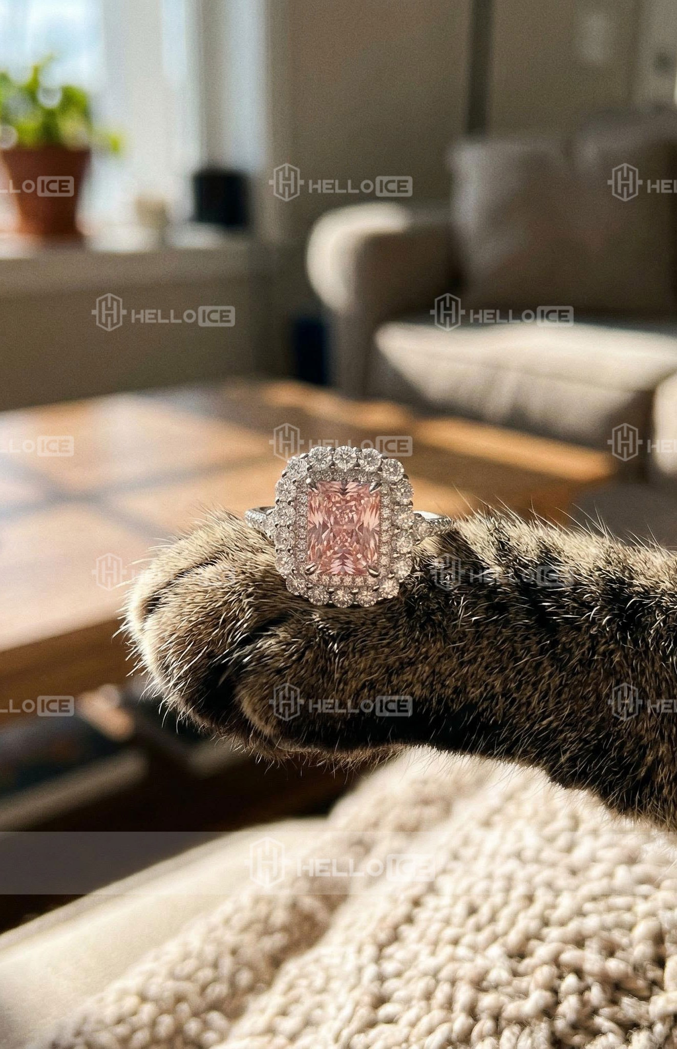 Helloice Review Image