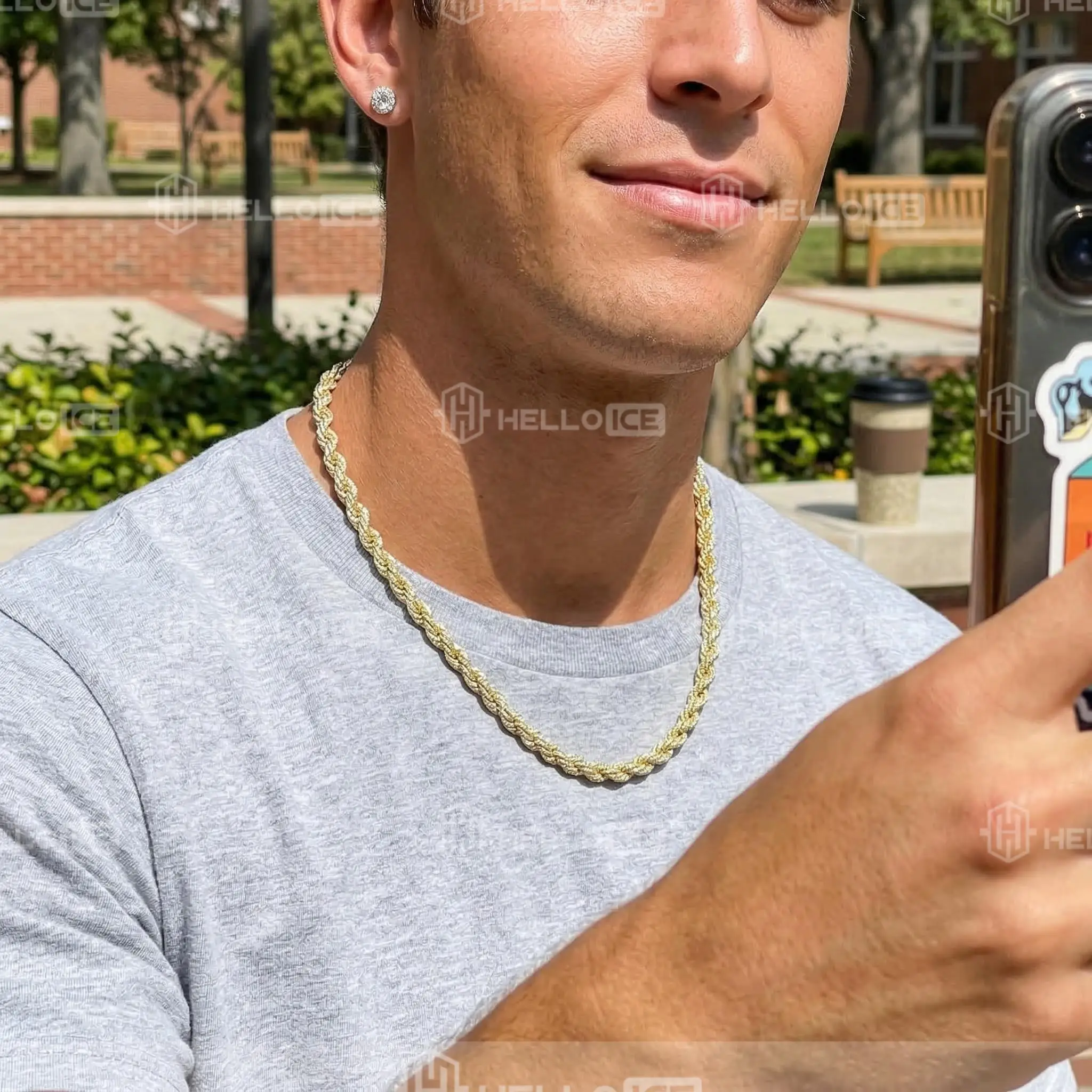 Helloice Review Image