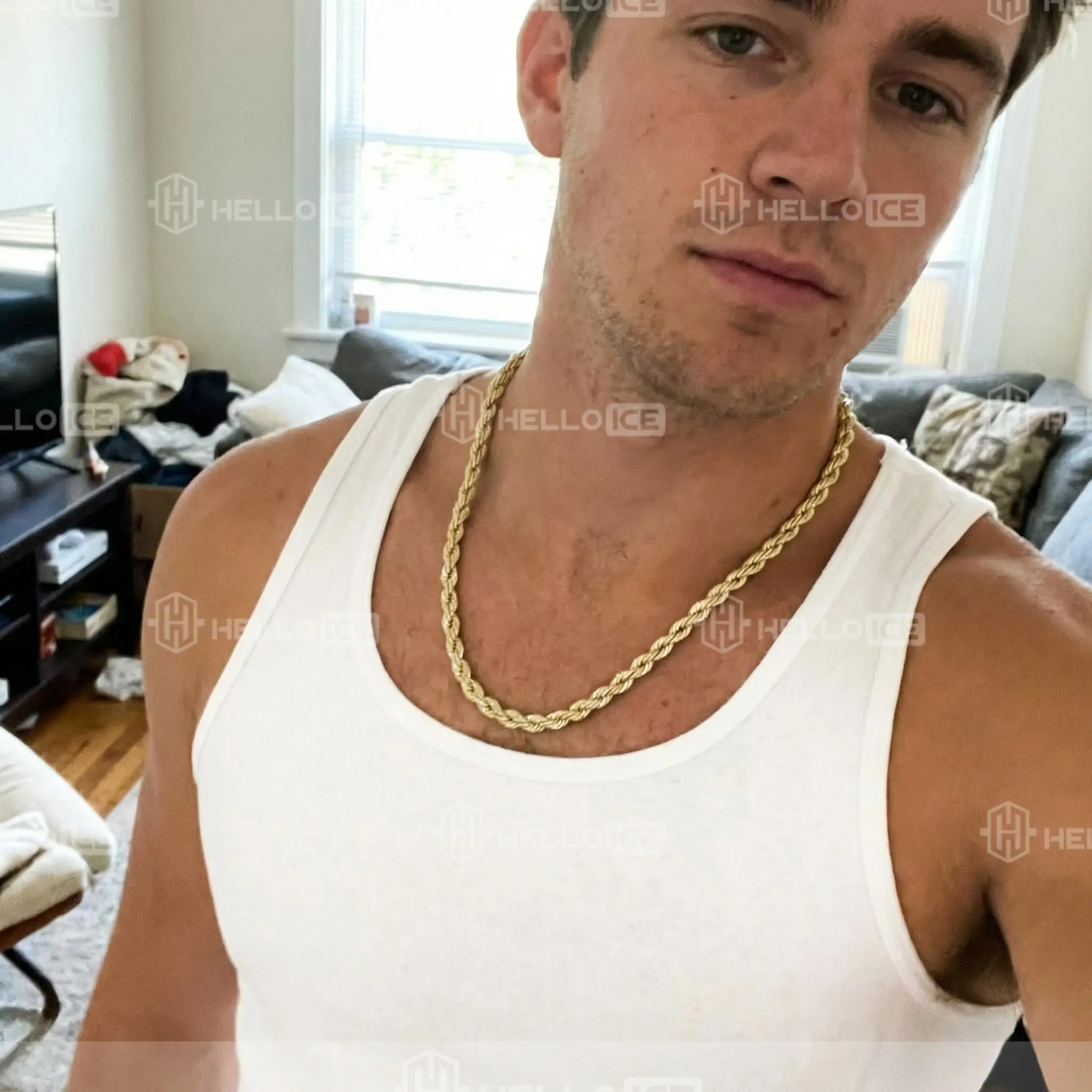 Helloice Review Image