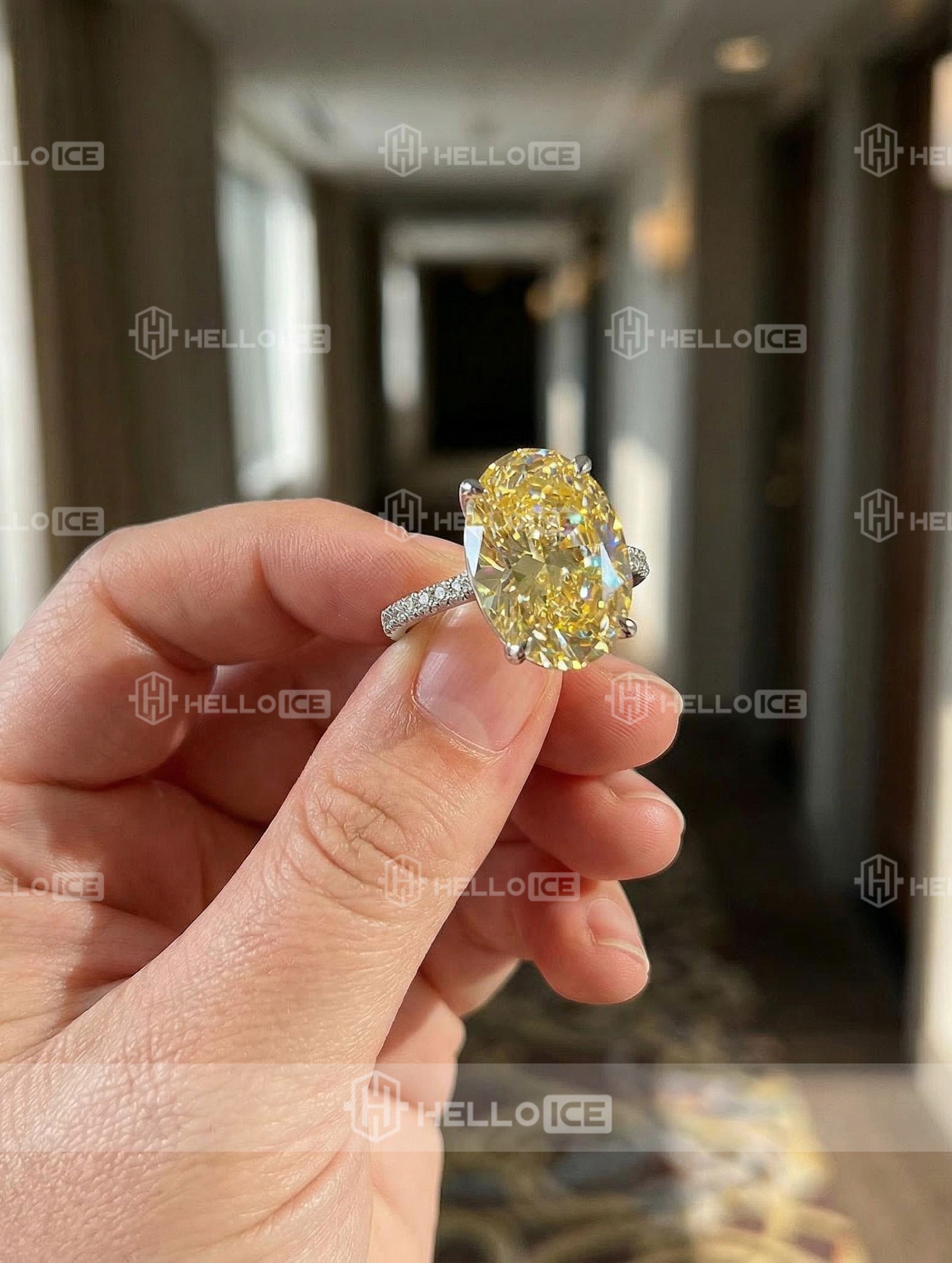 Helloice Review Image