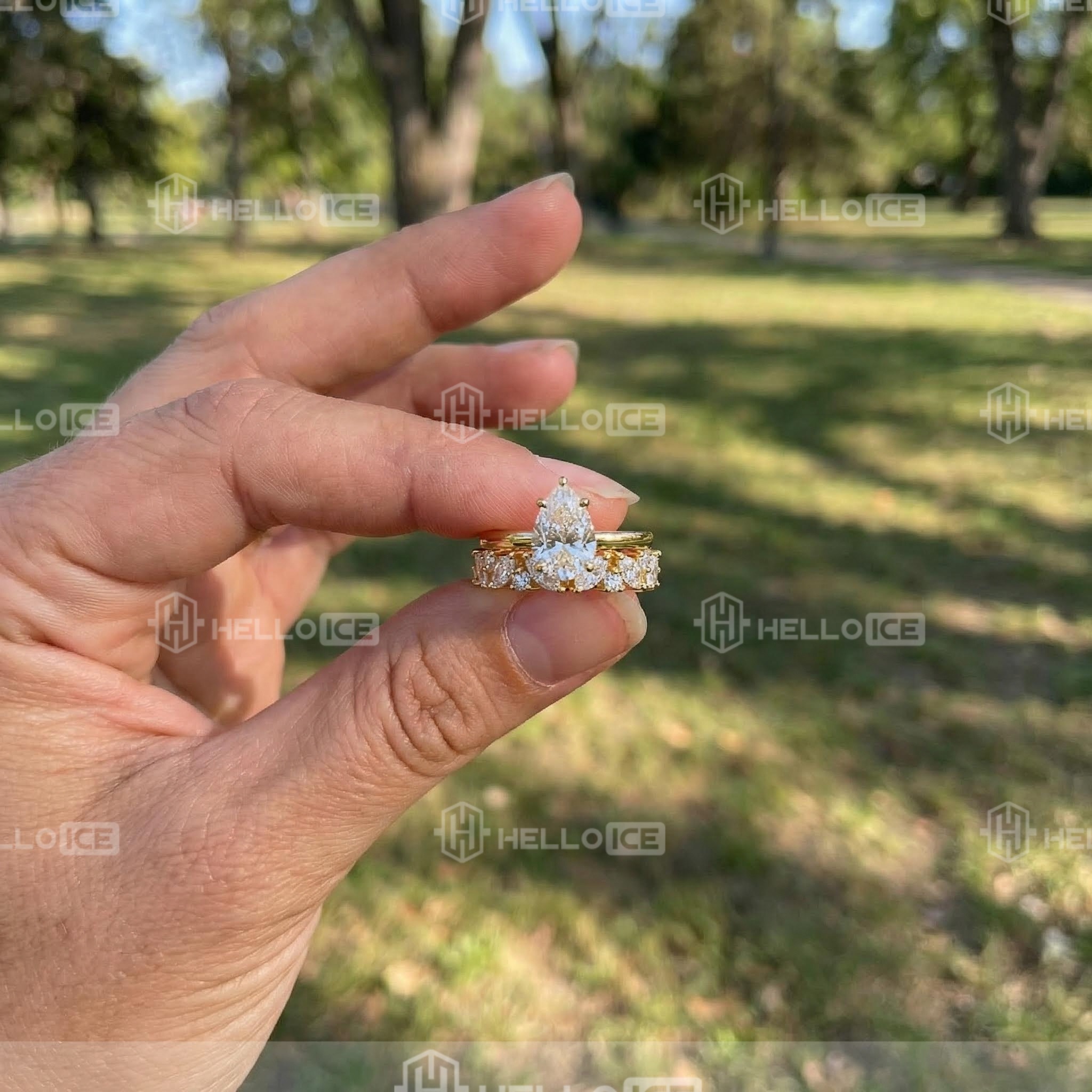 Helloice Review Image