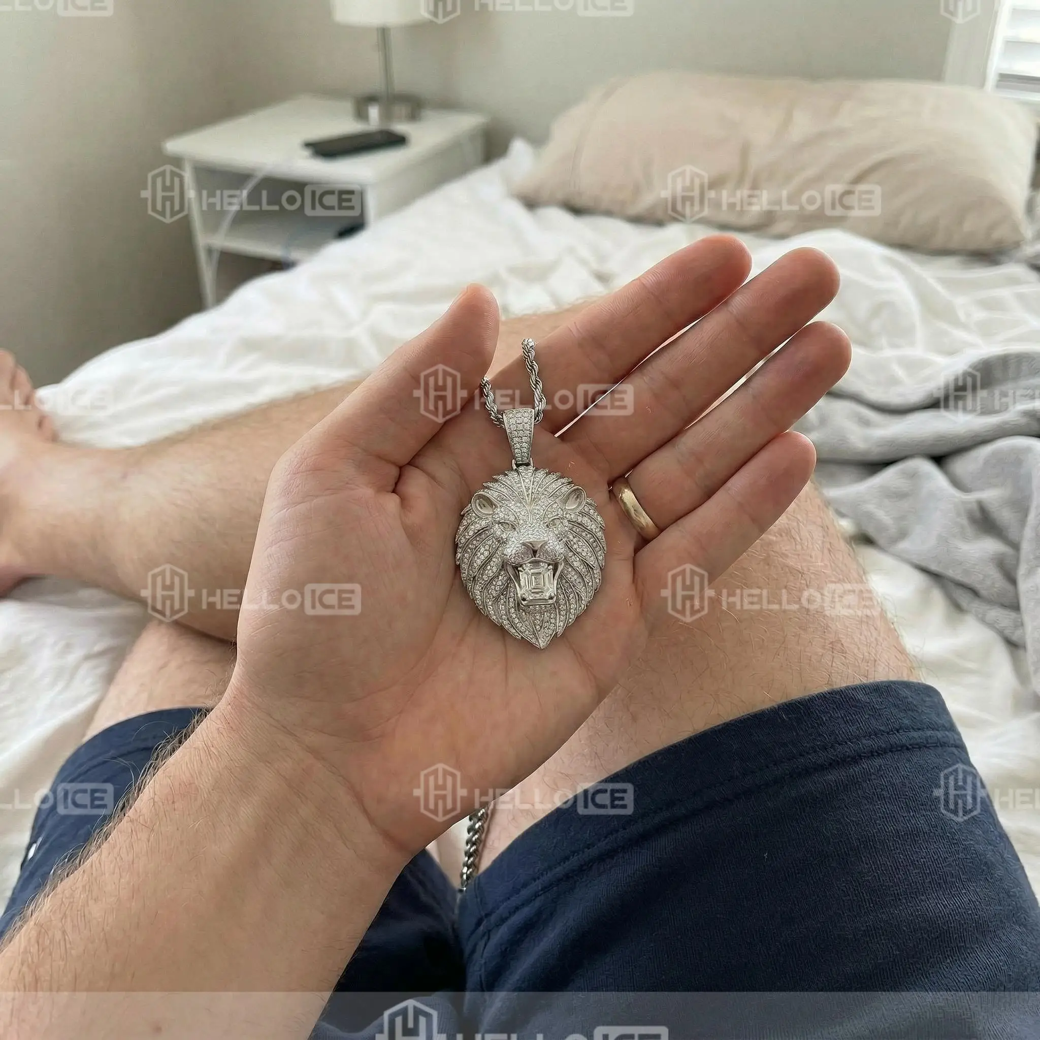 Helloice Review Image