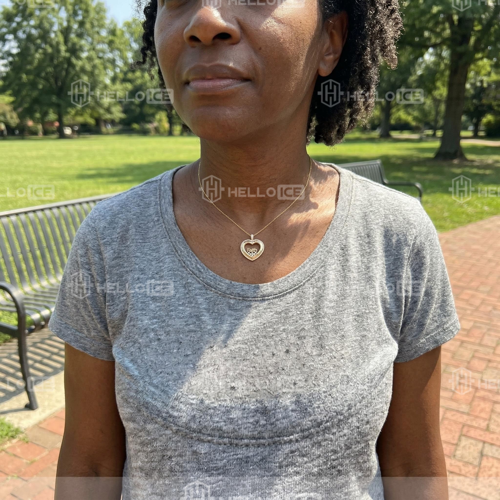 Helloice Review Image