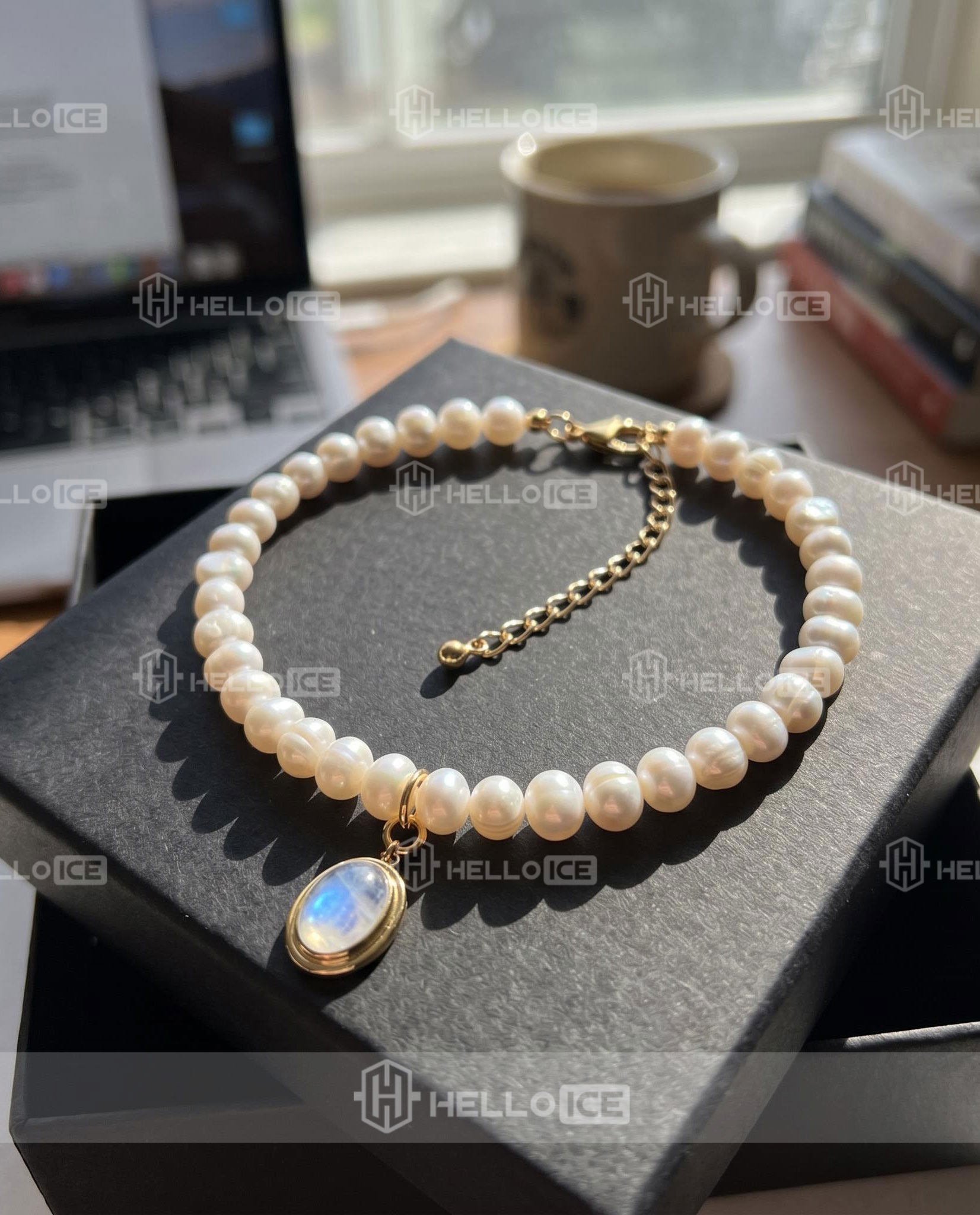 Helloice Review Image