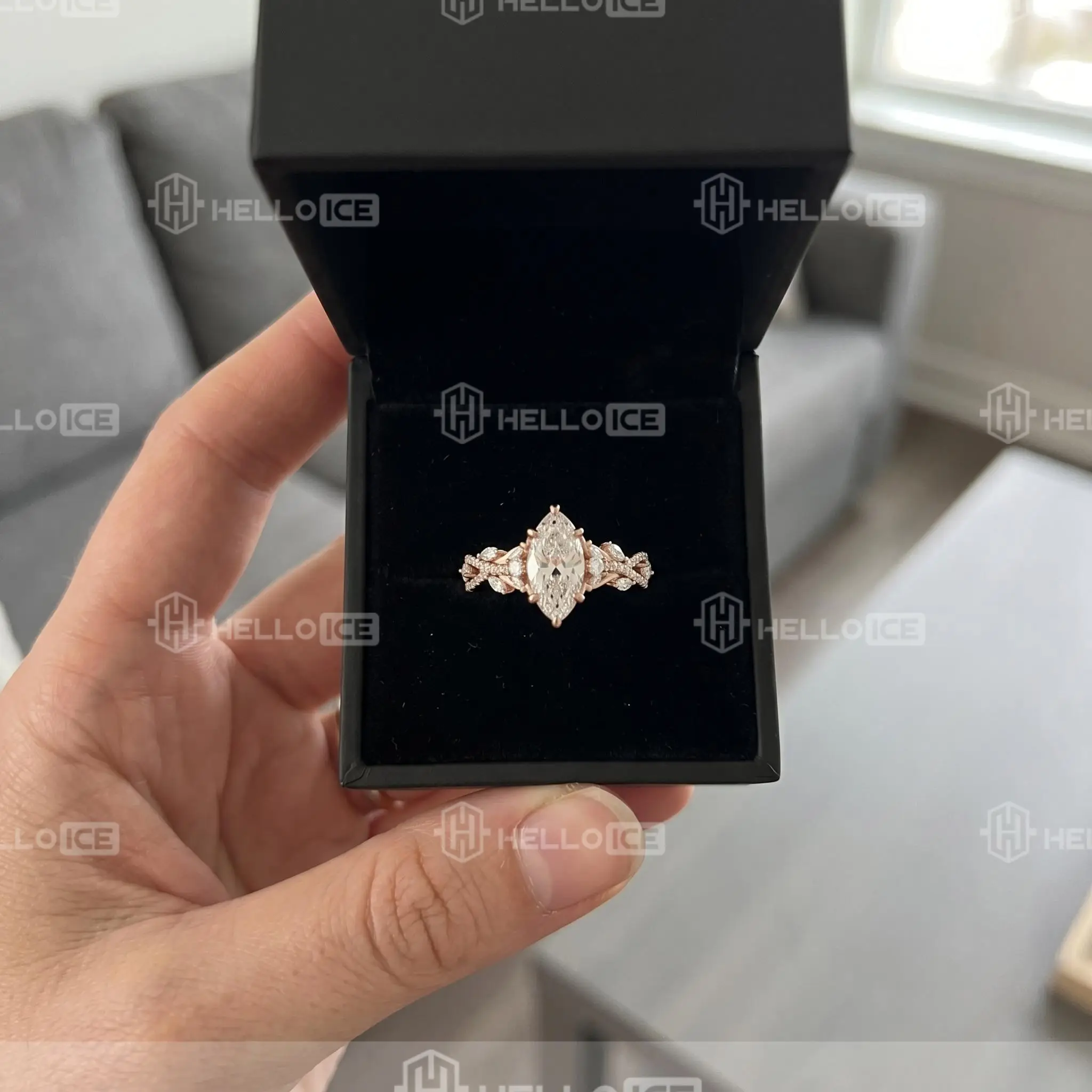 Helloice Review Image