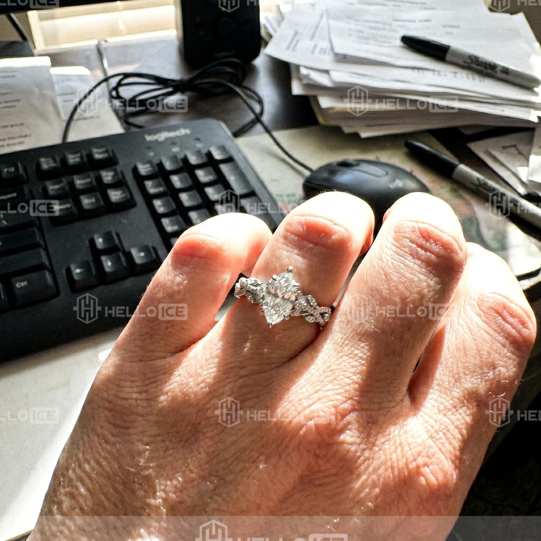 Helloice Review Image