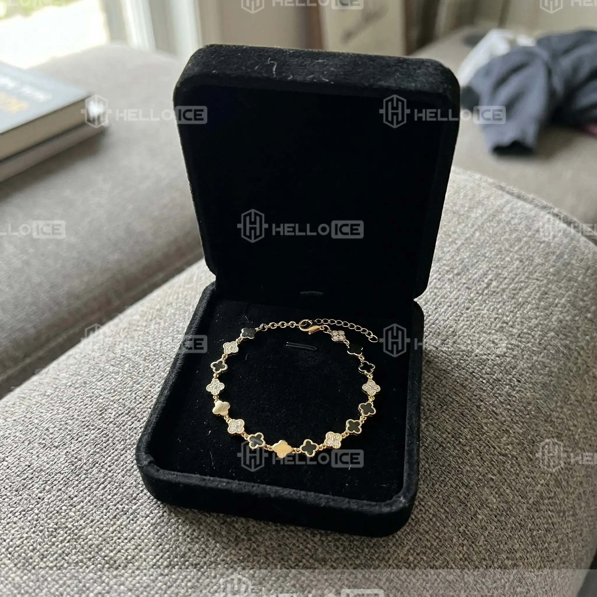 Helloice Review Image