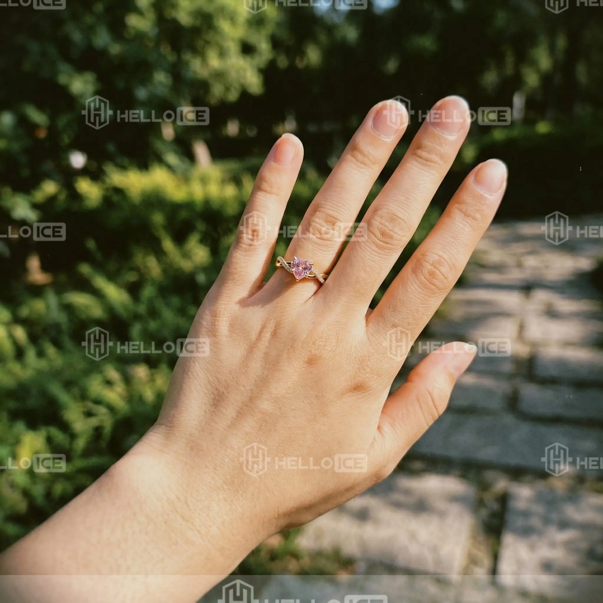 Helloice Review Image