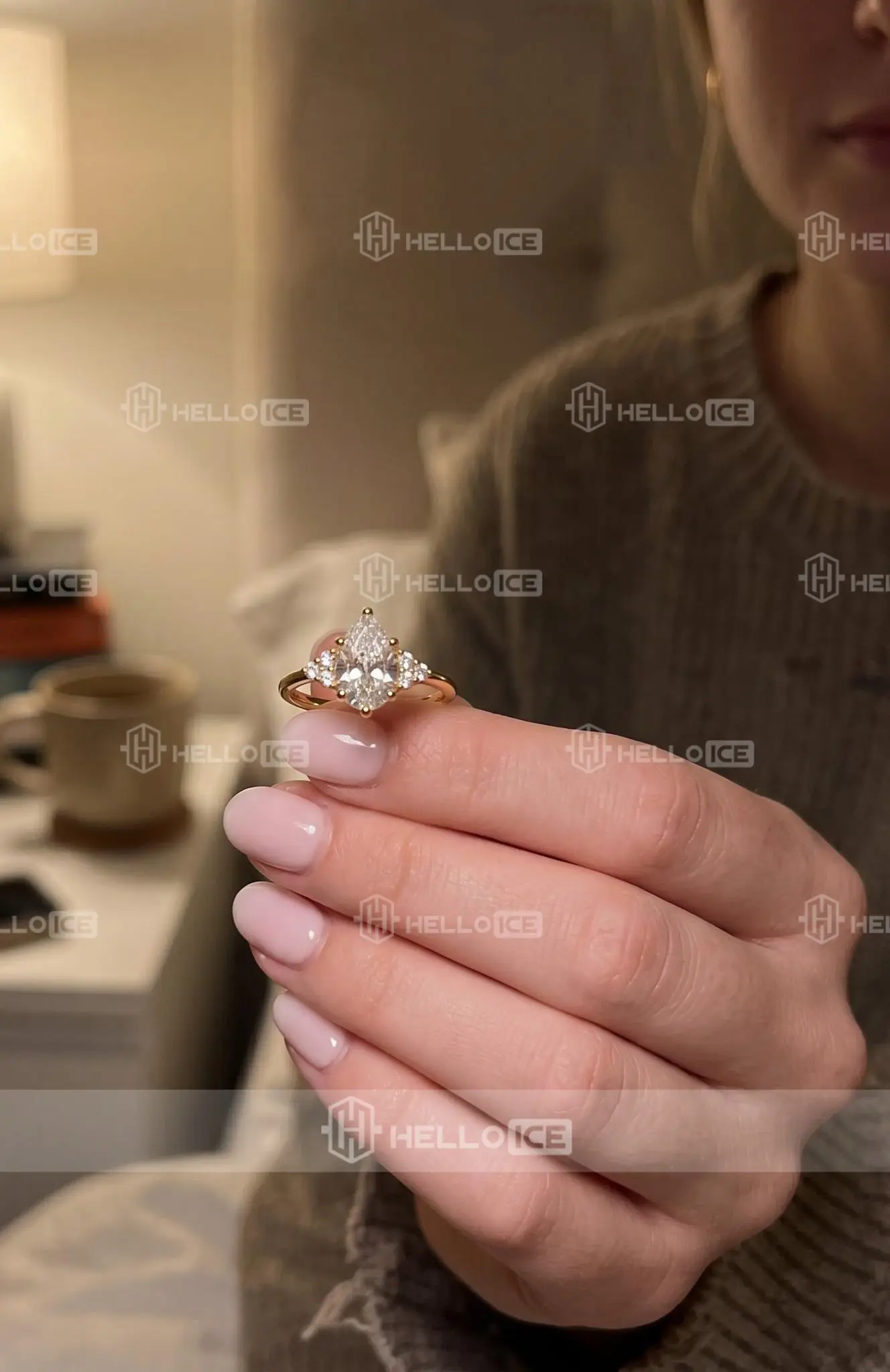 Helloice Review Image