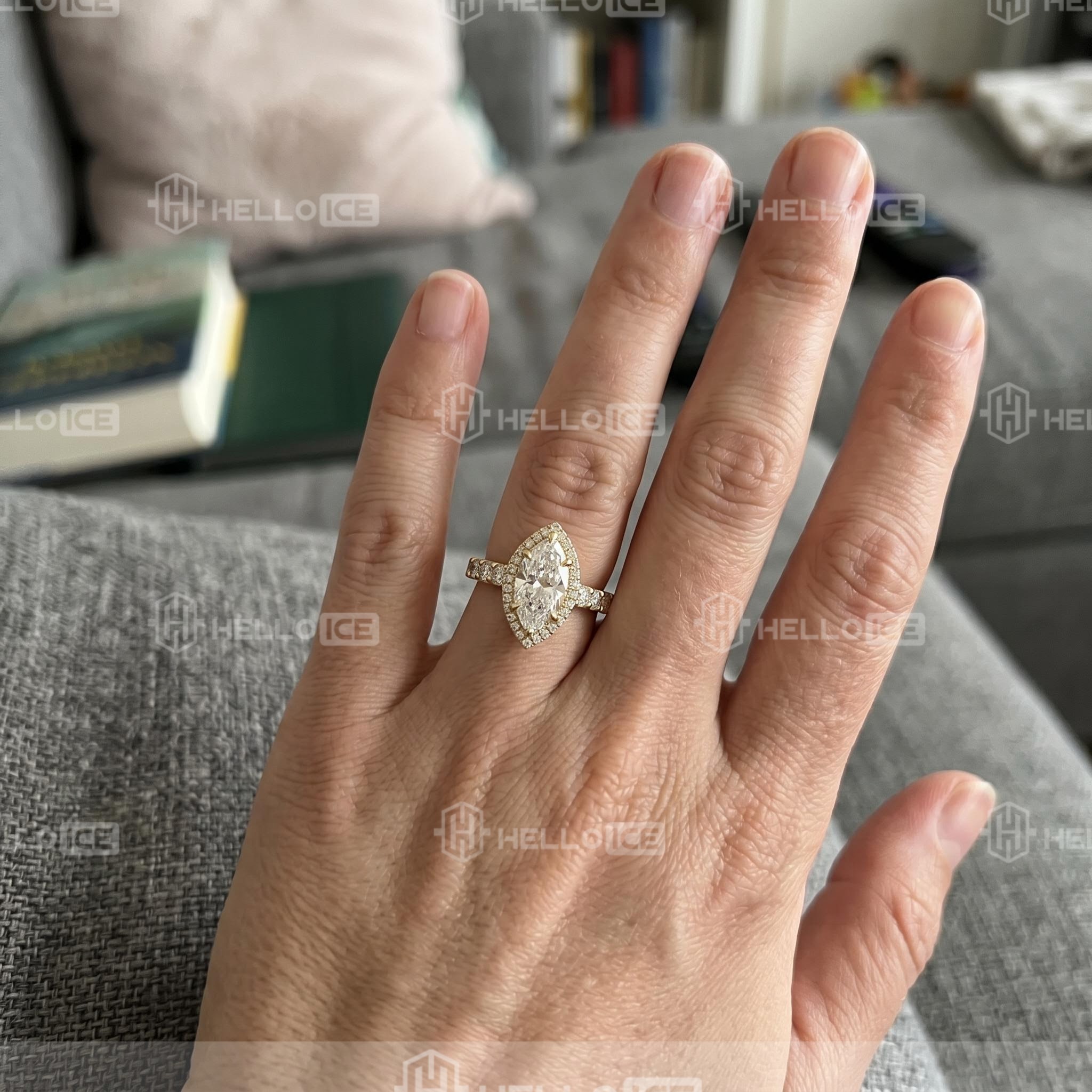 Helloice Review Image