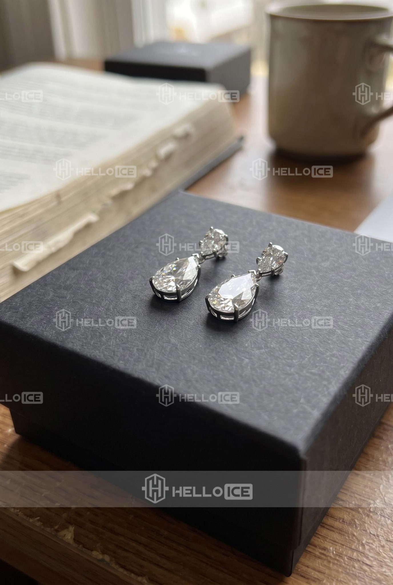 Helloice Review Image