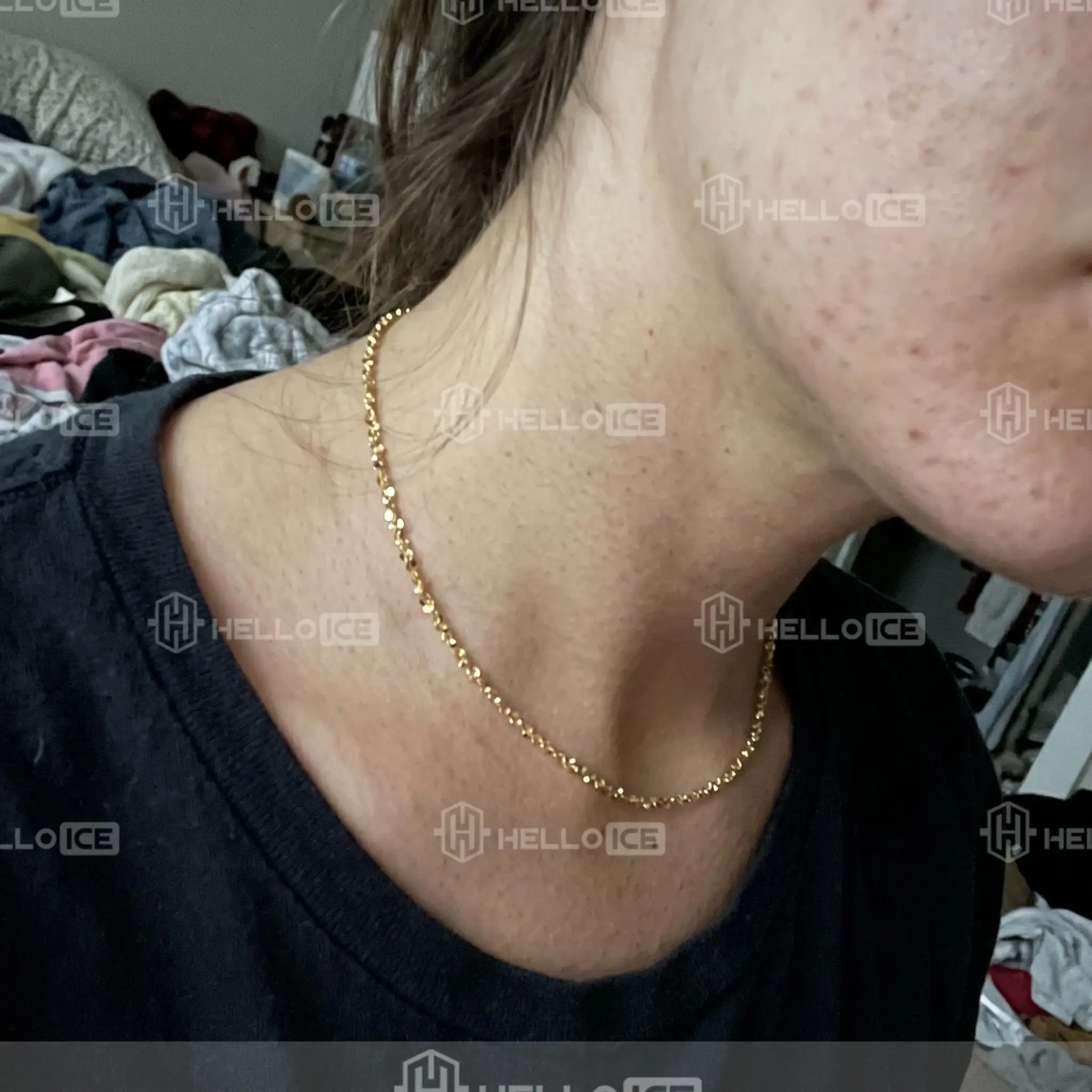 Helloice Review Image