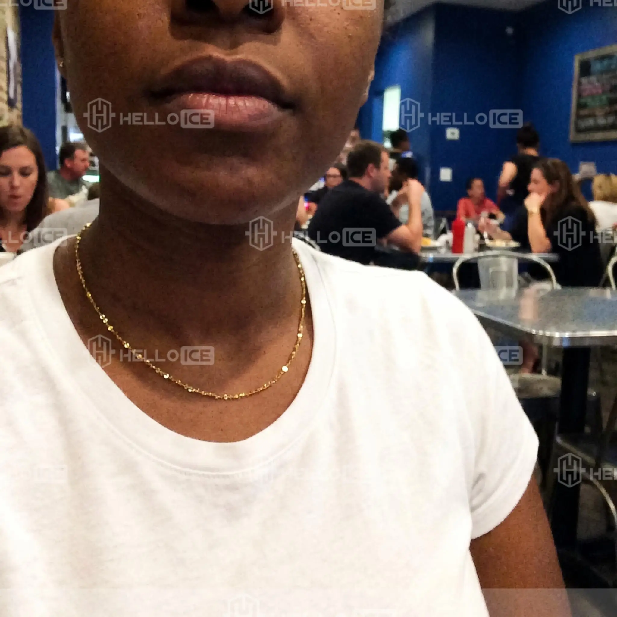 Helloice Review Image