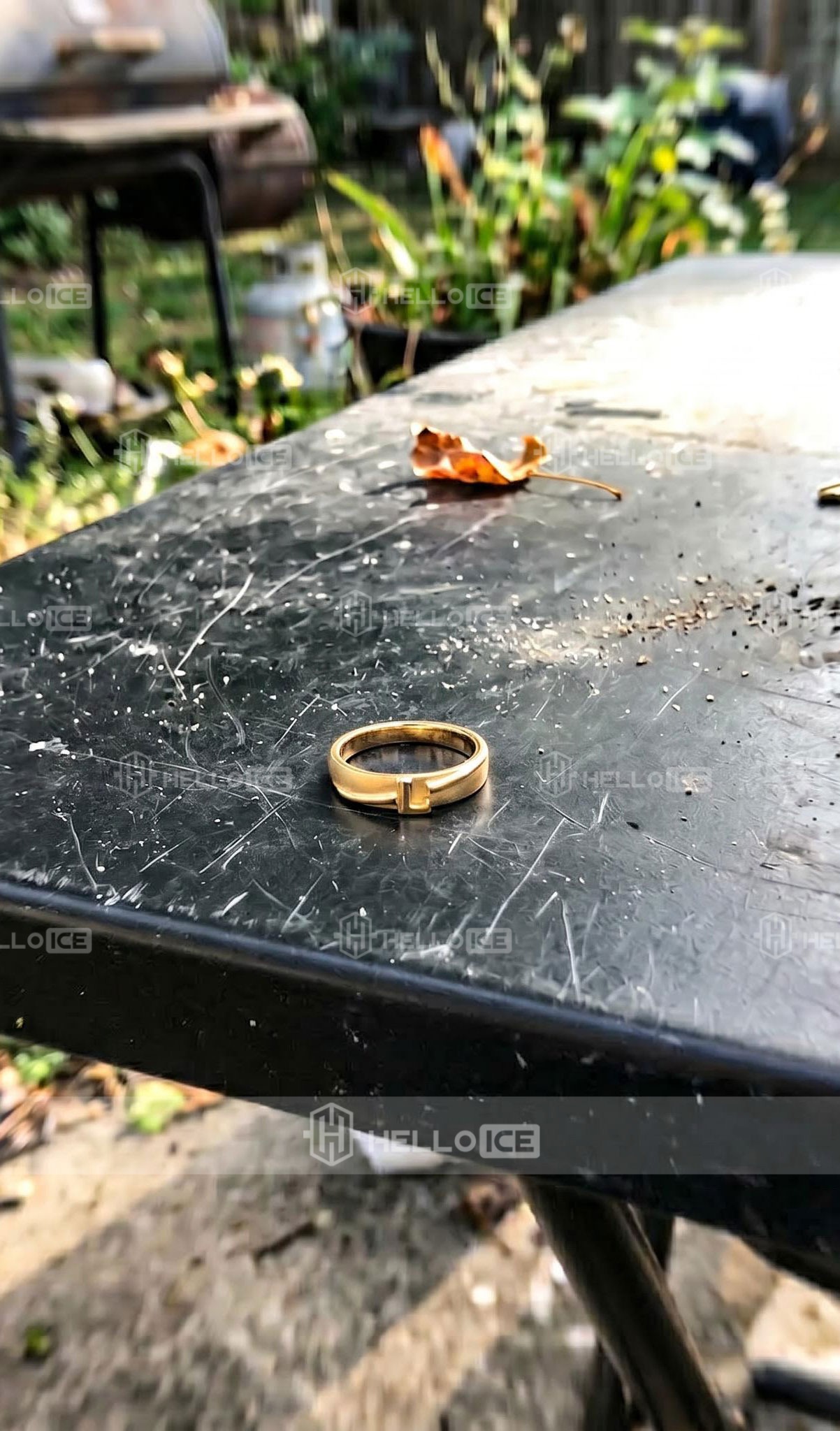 Helloice Review Image