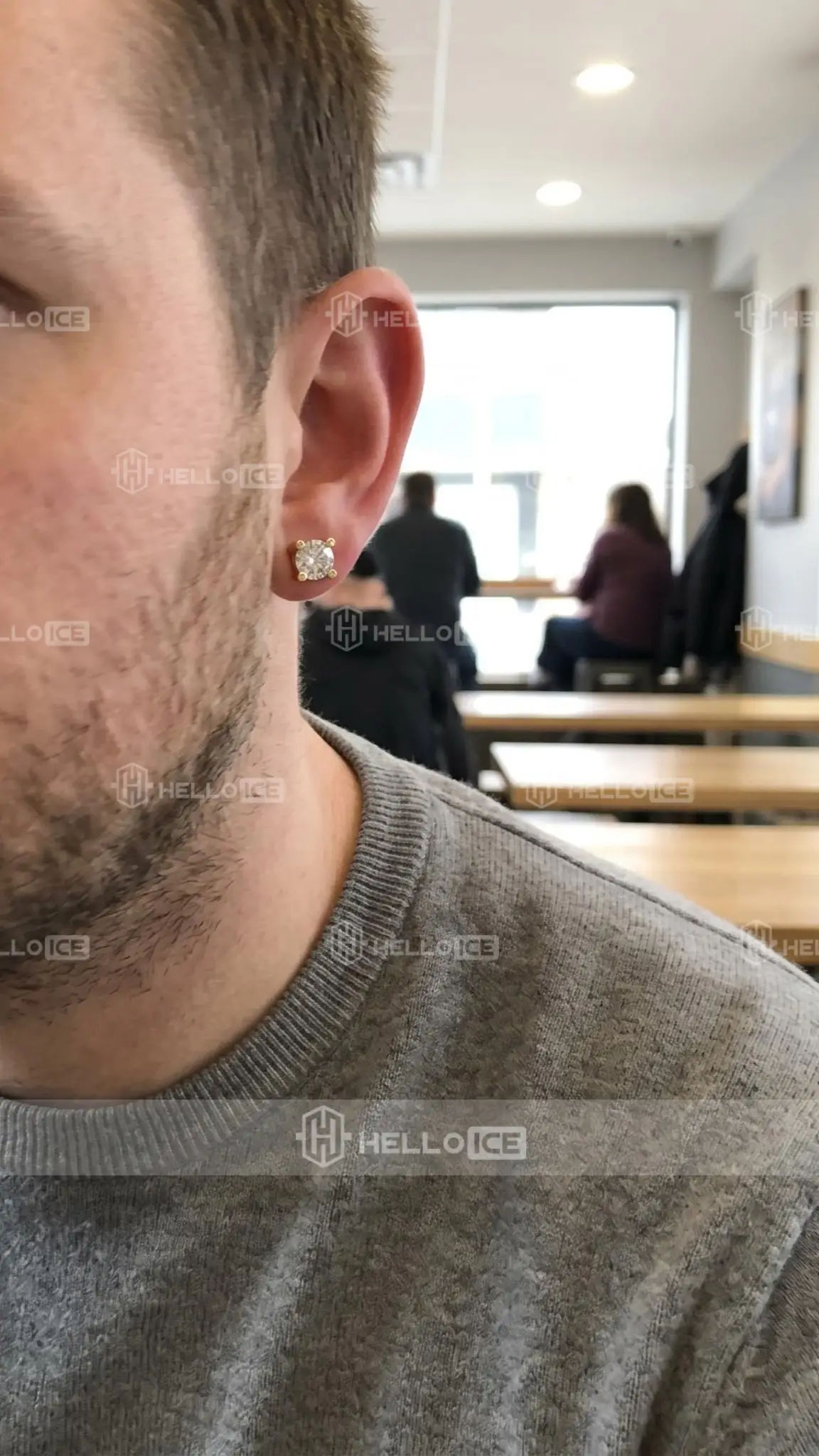 Helloice Review Image