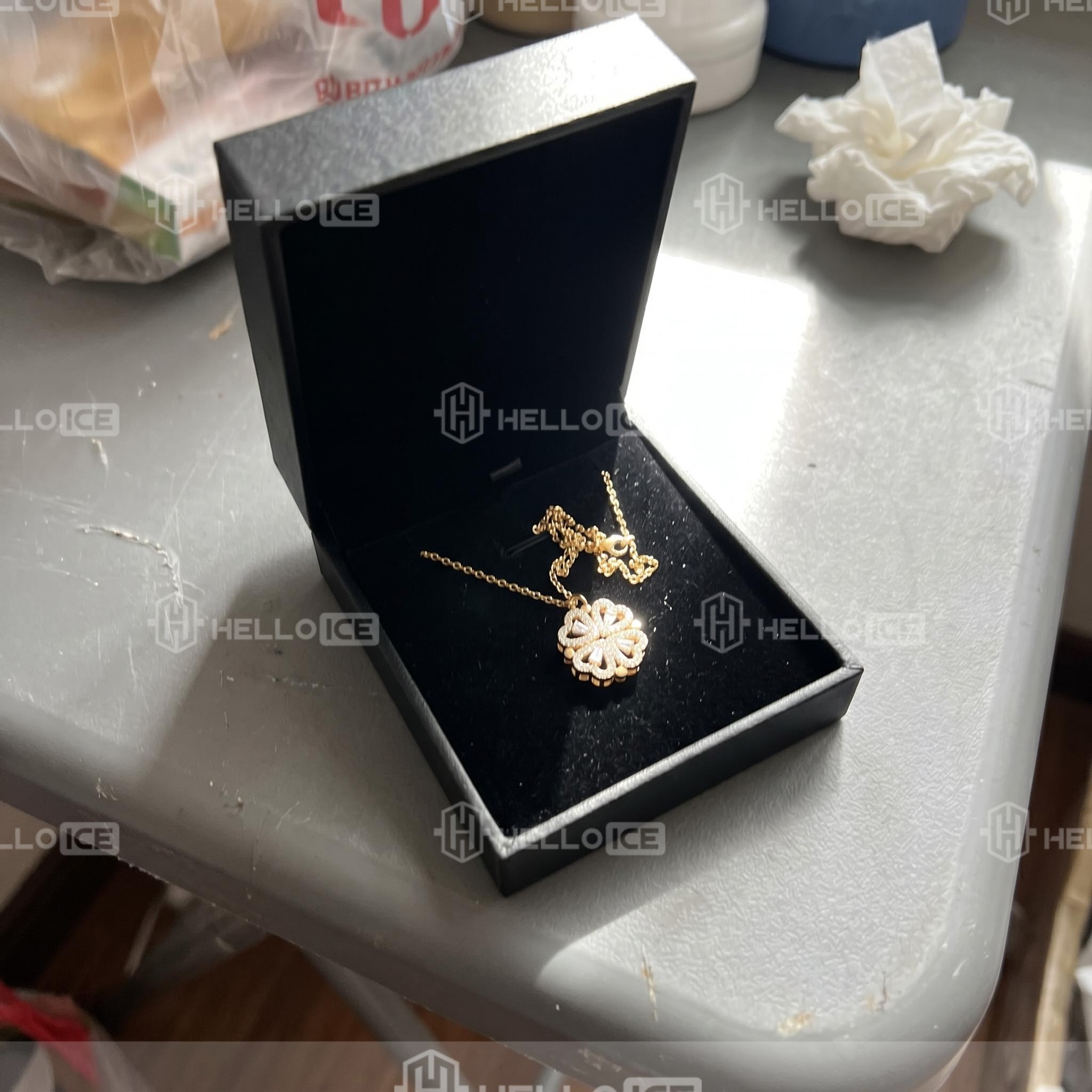 Helloice Review Image
