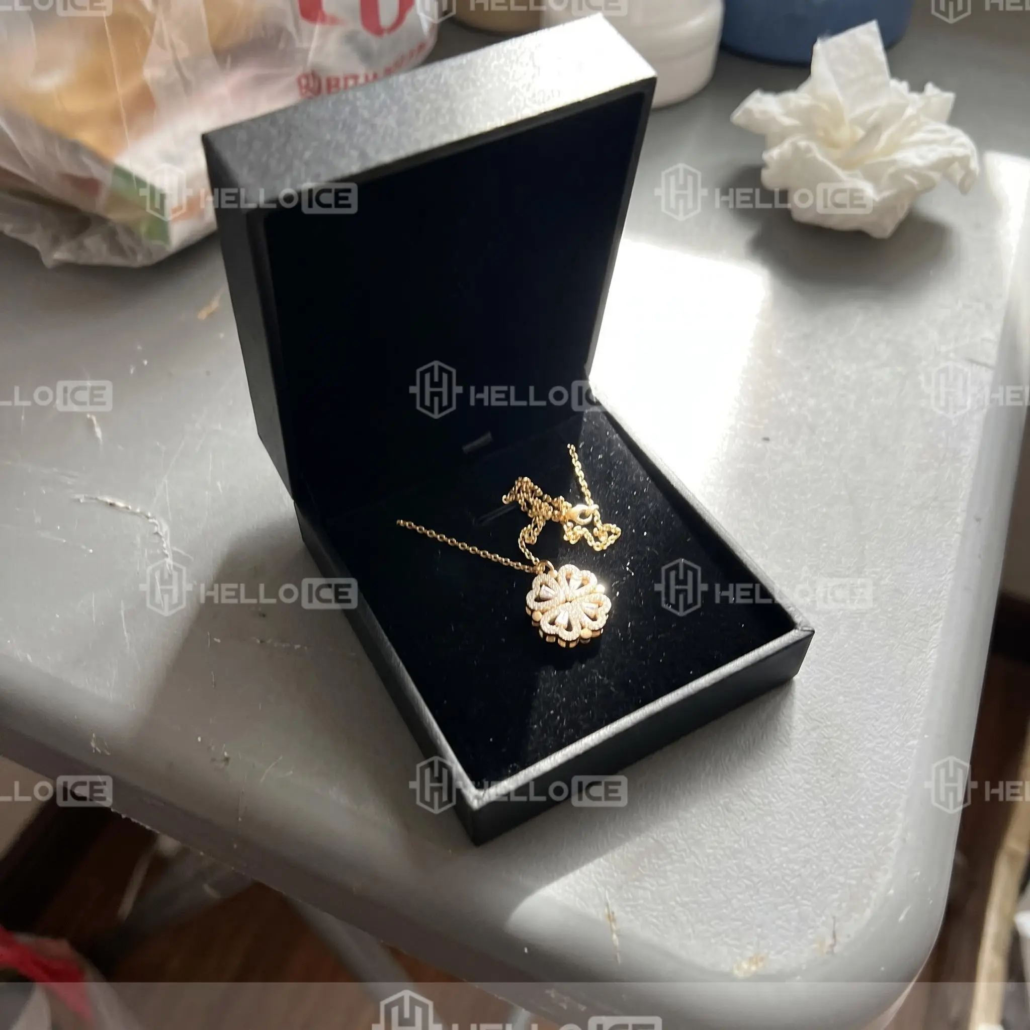 Helloice Review Image