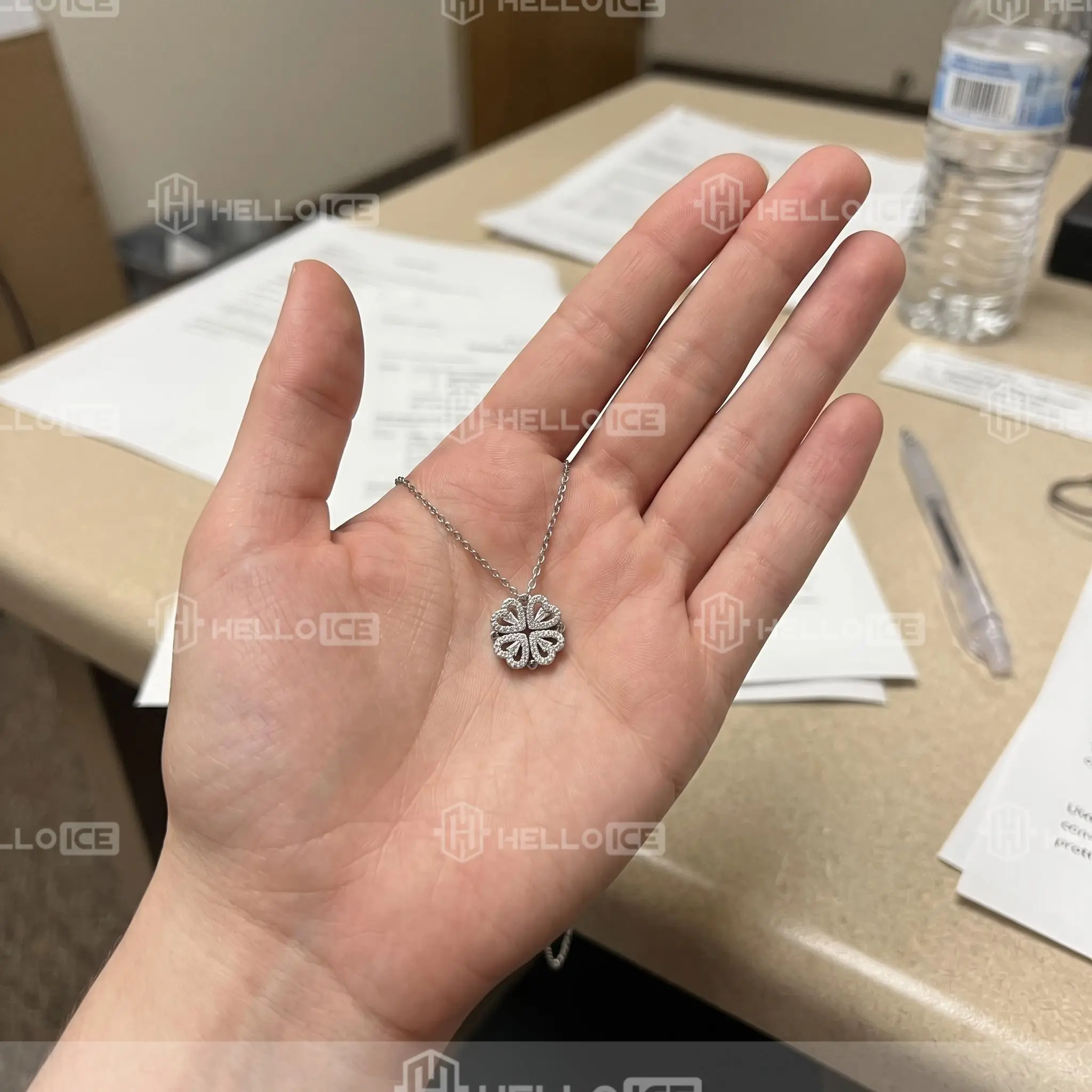 Helloice Review Image